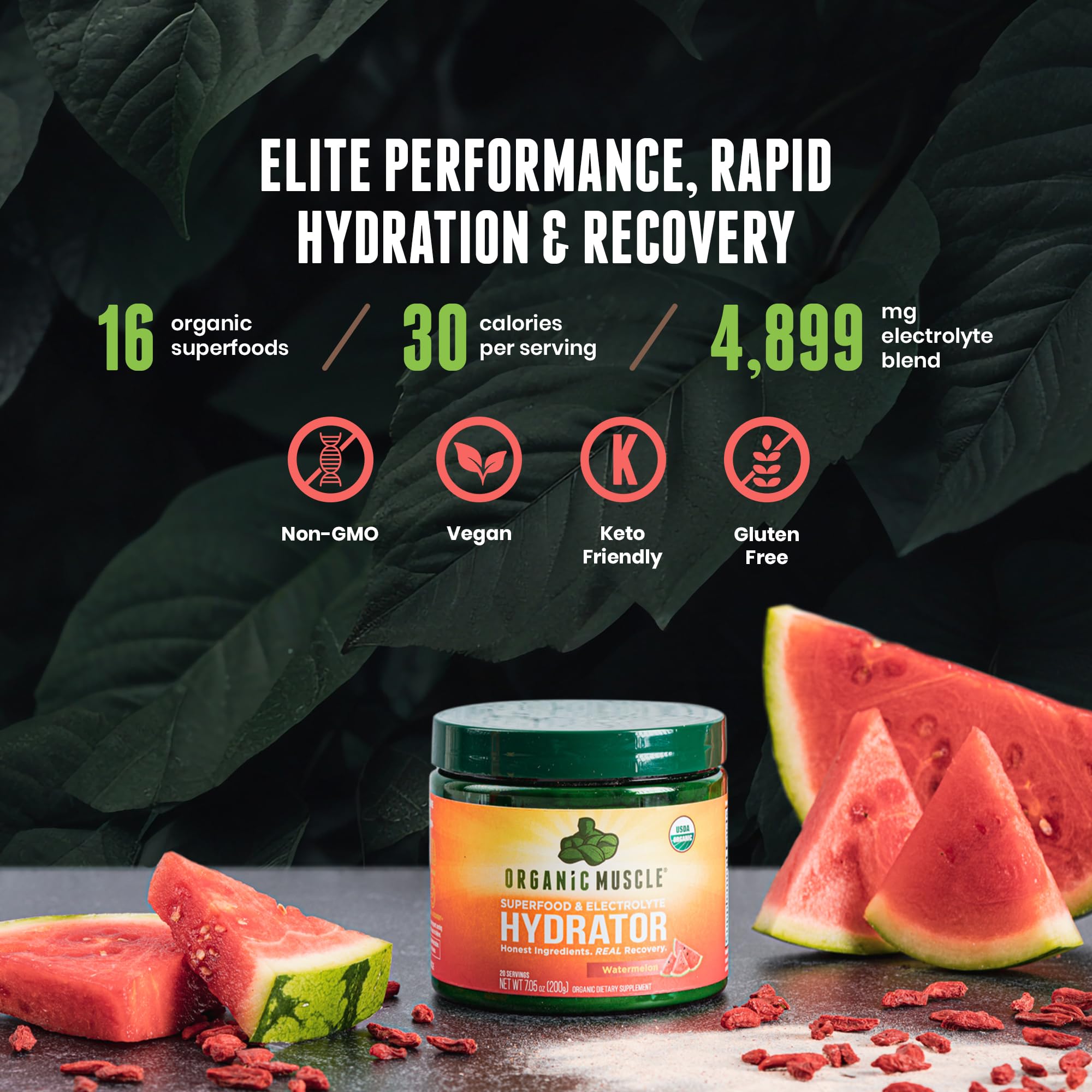 Organic Muscle Hydrator | Natural Electrolyte Powder for Peak Performance & Recovery - Watermelon Flavor, 20 Servings Organic Muscle uk supplements