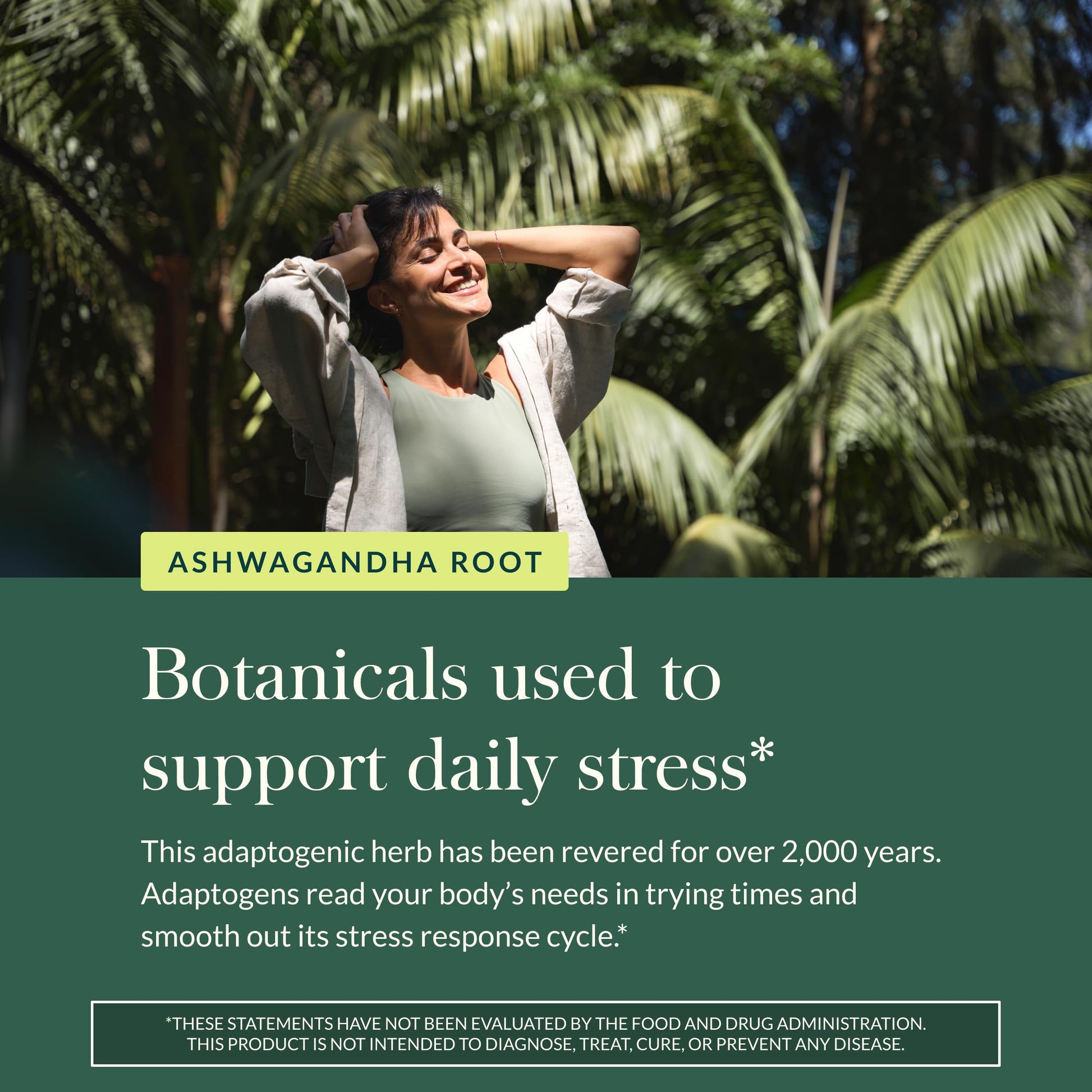 Gaia Herbs Ashwagandha Root - Stress Relief & Sleep Support Supplement - Supports Balanced Energy Levels & Positive Outlook* - 60 Vegan Liquid Phyto-Caps (30 Servings) Gaia Herbs uk supplements