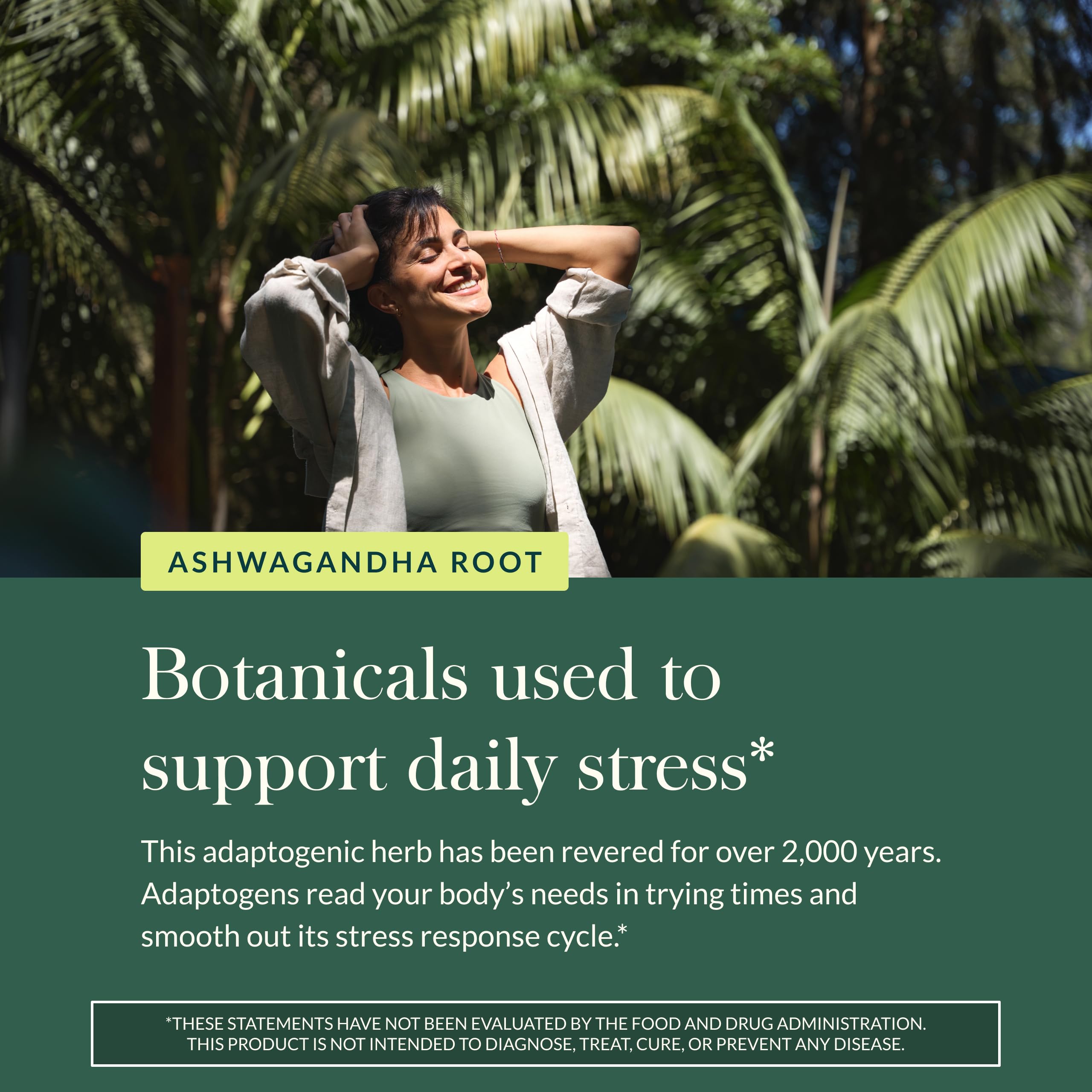 Gaia Herbs Ashwagandha Root - Stress Relief & Sleep Support Supplement - Supports Balanced Energy Levels & Positive Outlook* - 60 Vegan Liquid Phyto-Caps (30 Servings) Gaia Herbs uk supplements