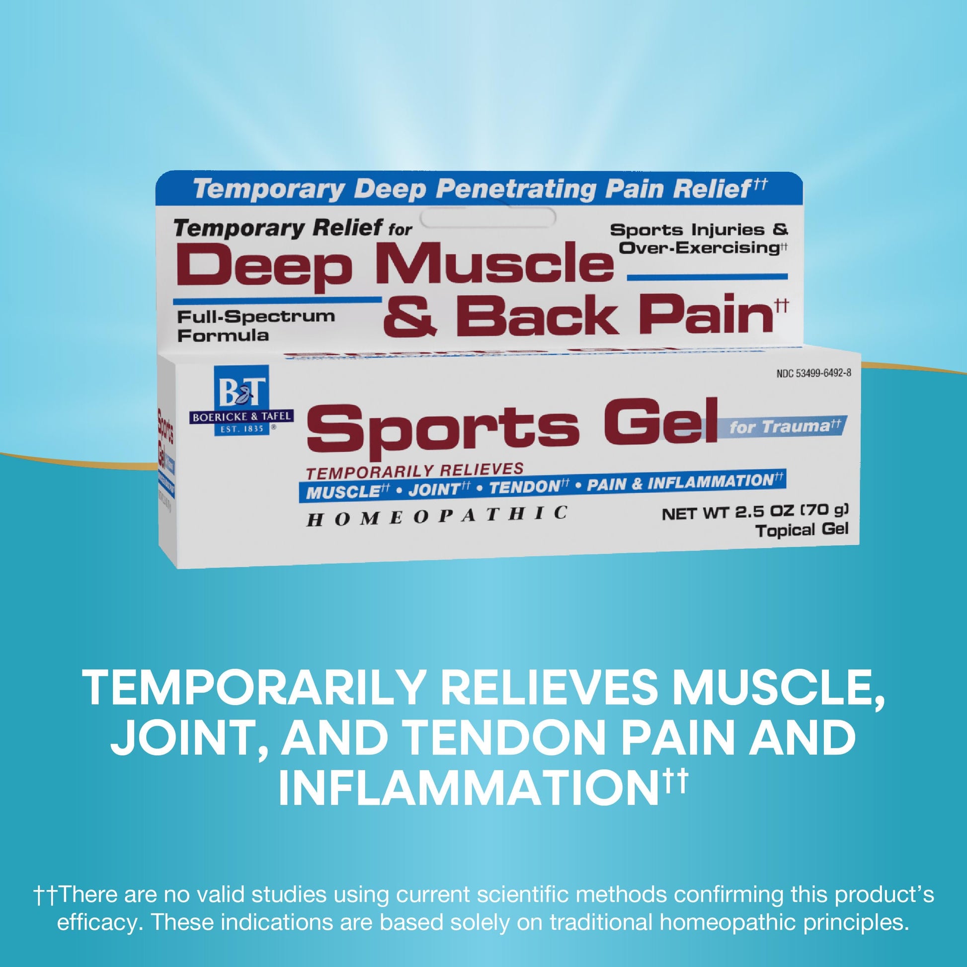 Nature's Way Boericke & Tafel Sports Gel, Relief for Deep Muscle, Joint, Tendon, & Back Pain and Inflammation, Homeopathic, 2.5 oz Nature's Way uk supplements