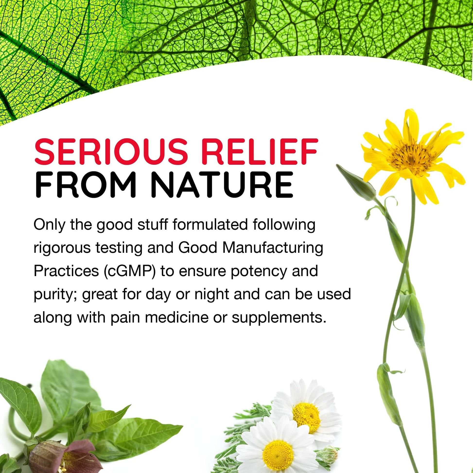 MediNatura T-Relief Pain - Arnica Medication for Naturally Soothing Body Aches - Supports Muscle, Joint & Back Relief - Chewable Tablets - Plant-Based Tablets - Non-Addictive - 100 Count - 2 Pack MediNatura uk supplements