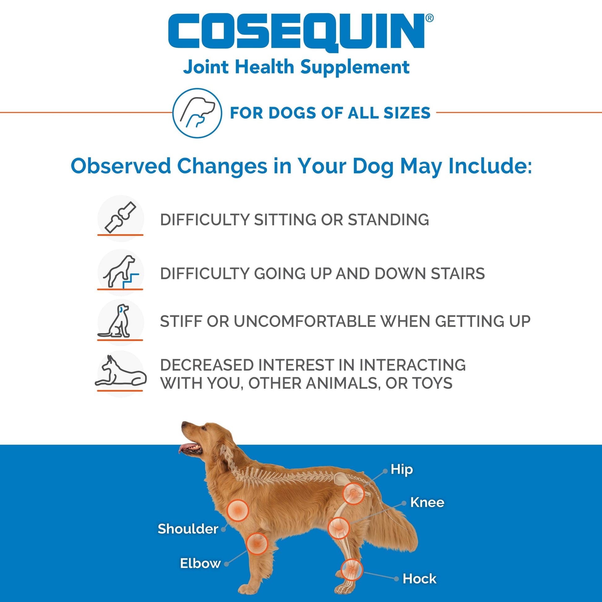 Nutramax Laboratories Cosequin Maximum Strength Joint Health Supplement for Dogs Nutramax Laboratories uk supplements