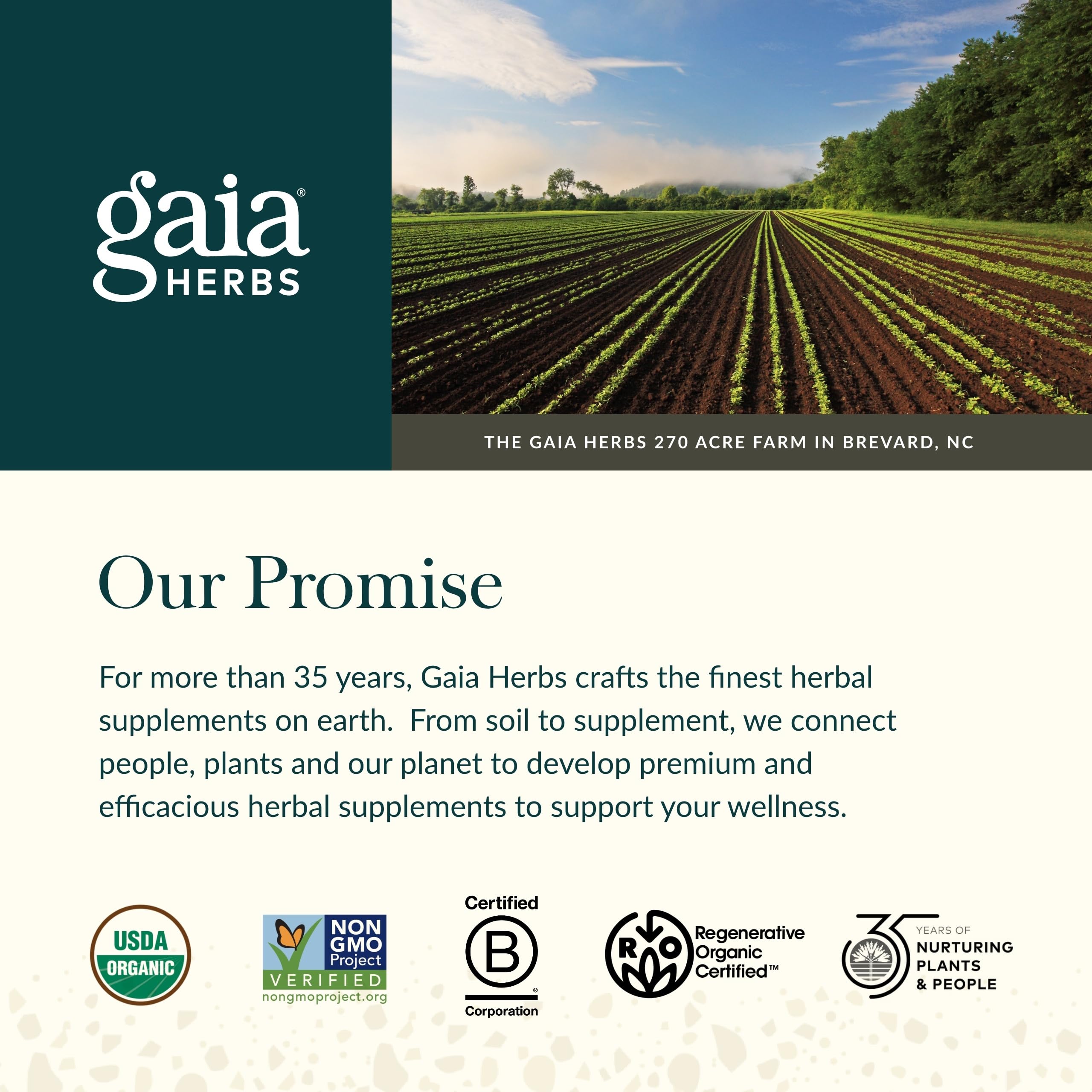 Gaia Herbs Ginger-Beet Postbiotic - Supplement for Gut & Heart Health Support* - Made with Fermented Beets & Ginger - Free from Dairy, Soy & Gluten - 60 Vegan Liquid Phyto-Caps (30 Servings) Gaia Herbs uk supplements