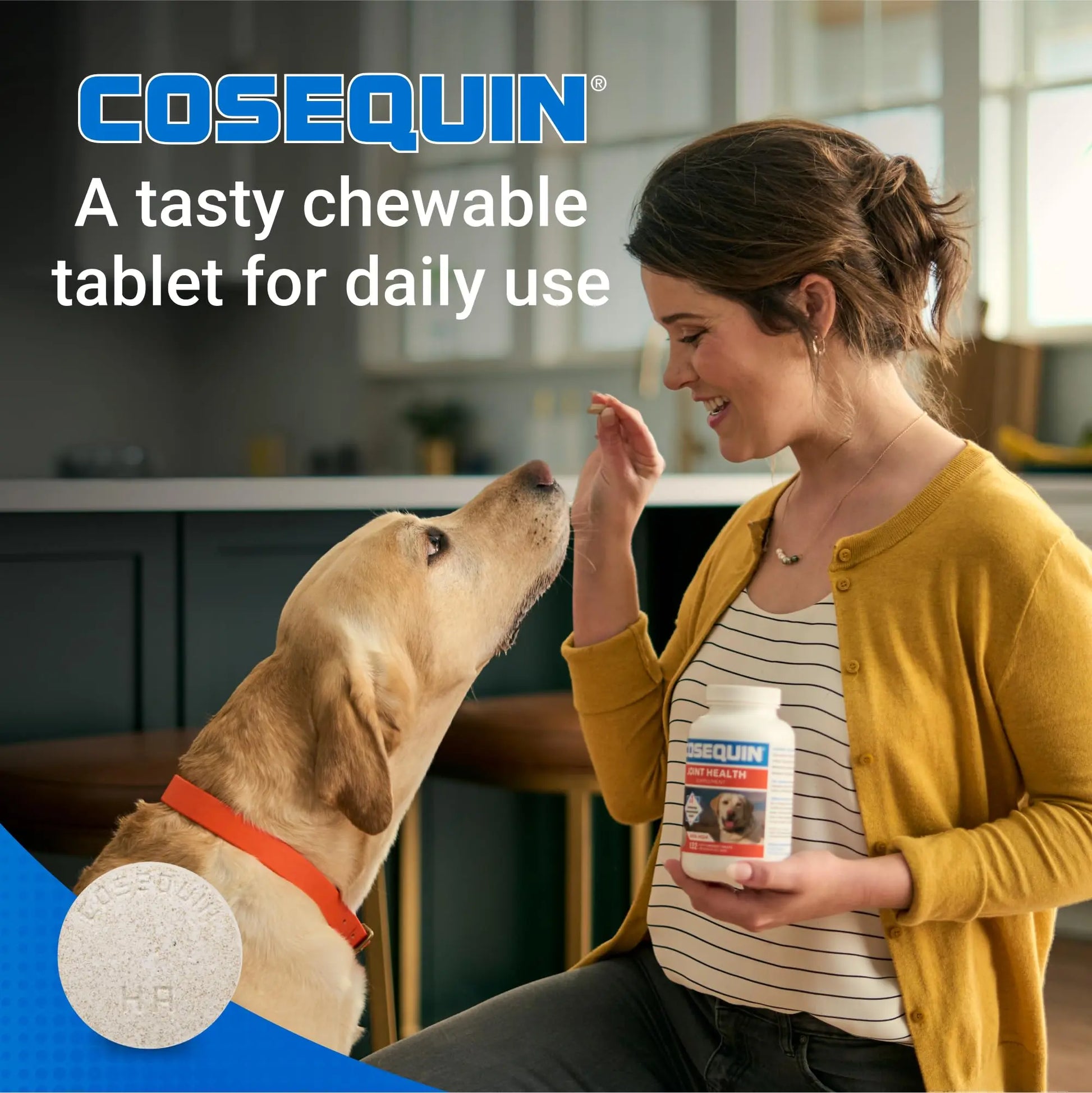 Nutramax Cosequin for Dogs Joint Health Supplement, Contains Glucosamine for Dogs, Plus Chondroitin, MSM and HA, Supports Healthy Joints, Chewable Tablets, 75 Count Nutramax Laboratories uk supplements