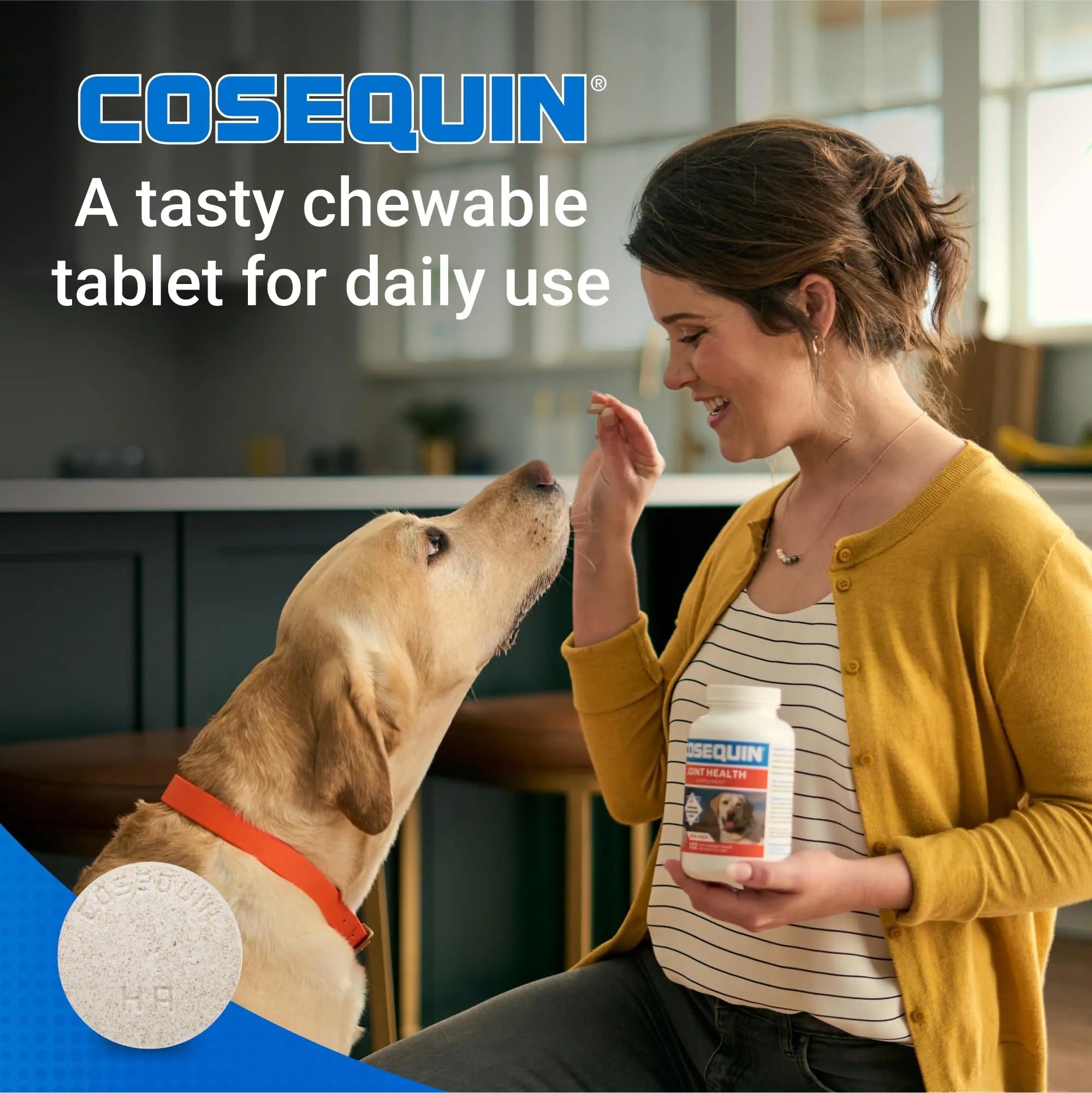 Nutramax Cosequin for Dogs Joint Health Supplement, Contains Glucosamine for Dogs, Plus Chondroitin, MSM and HA, Supports Healthy Joints, Chewable Tablets, 75 Count Nutramax Laboratories uk supplements