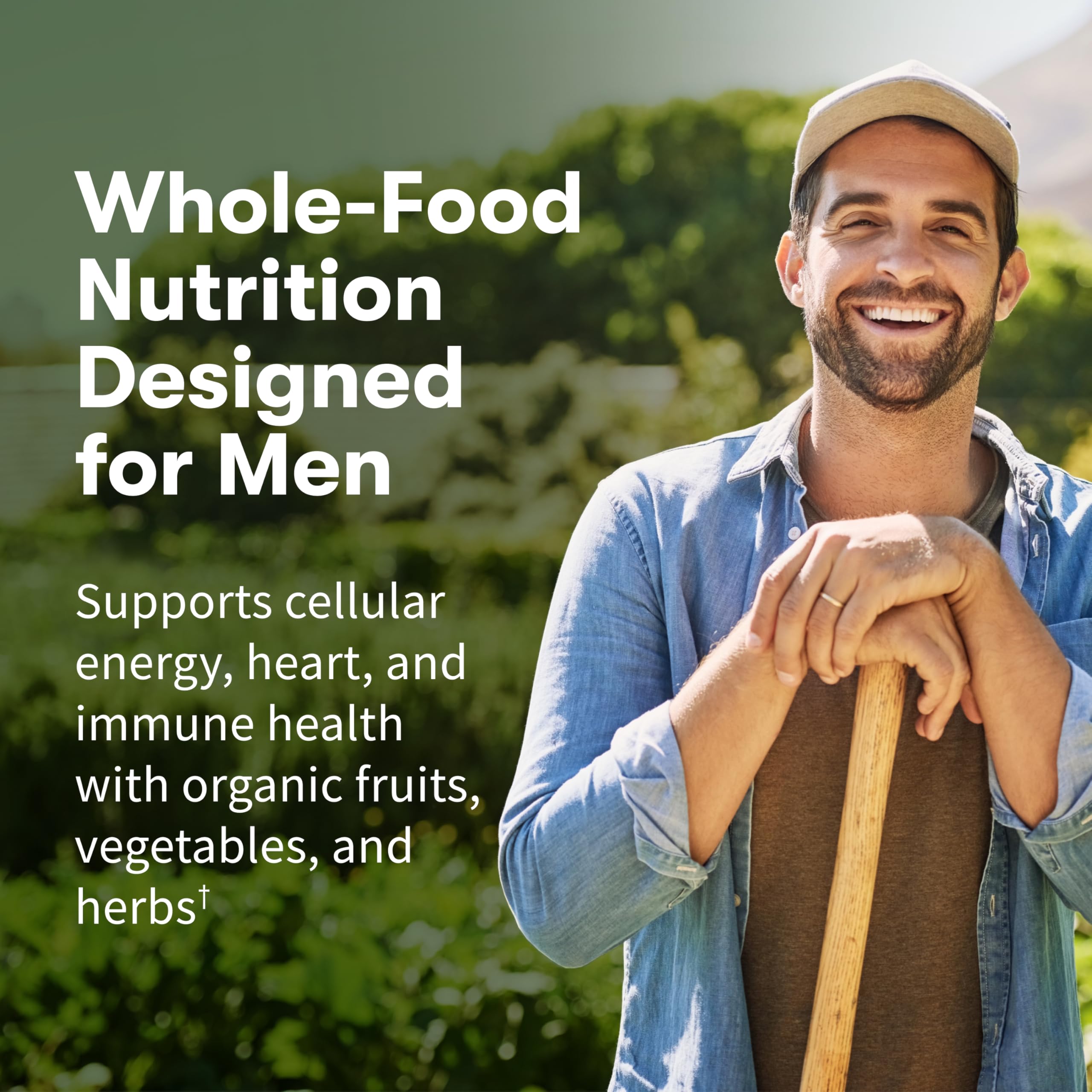 Garden of Life Once Daily Whole Food Multivitamin for Men, Organic Mens Vitamins & Minerals, Vitamin C, Zinc, Vegan, for Health & Well-Being, 60 Tablets Garden of Life uk supplements