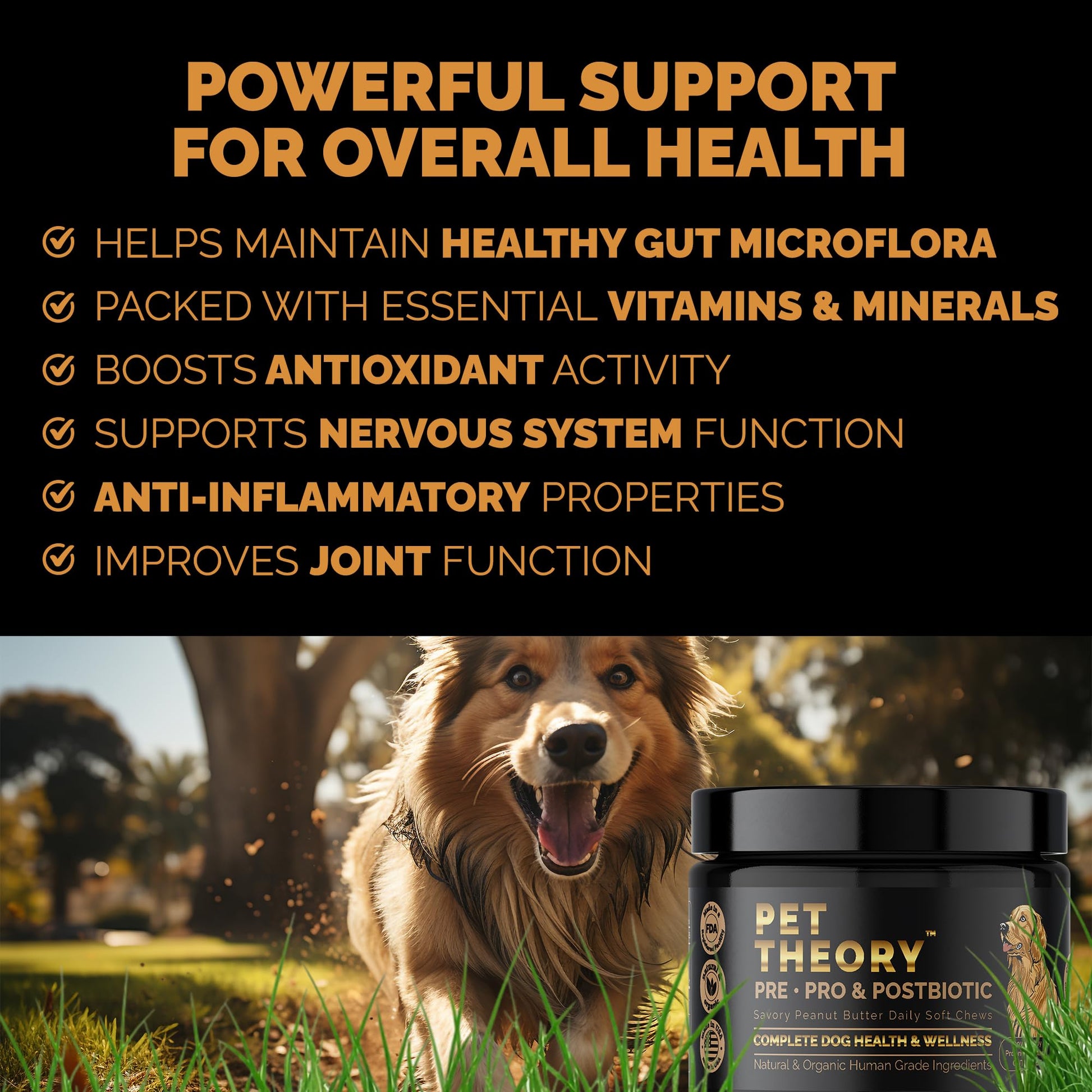 Pet Theory Probiotics for Dogs. Dog Digestive Health-Pre Pro and Postbiotic Combination-Pet Supplements for Gut Health-Supports Digestion, Boost Immunity-100CT Soft Chews Pet Theory uk supplements