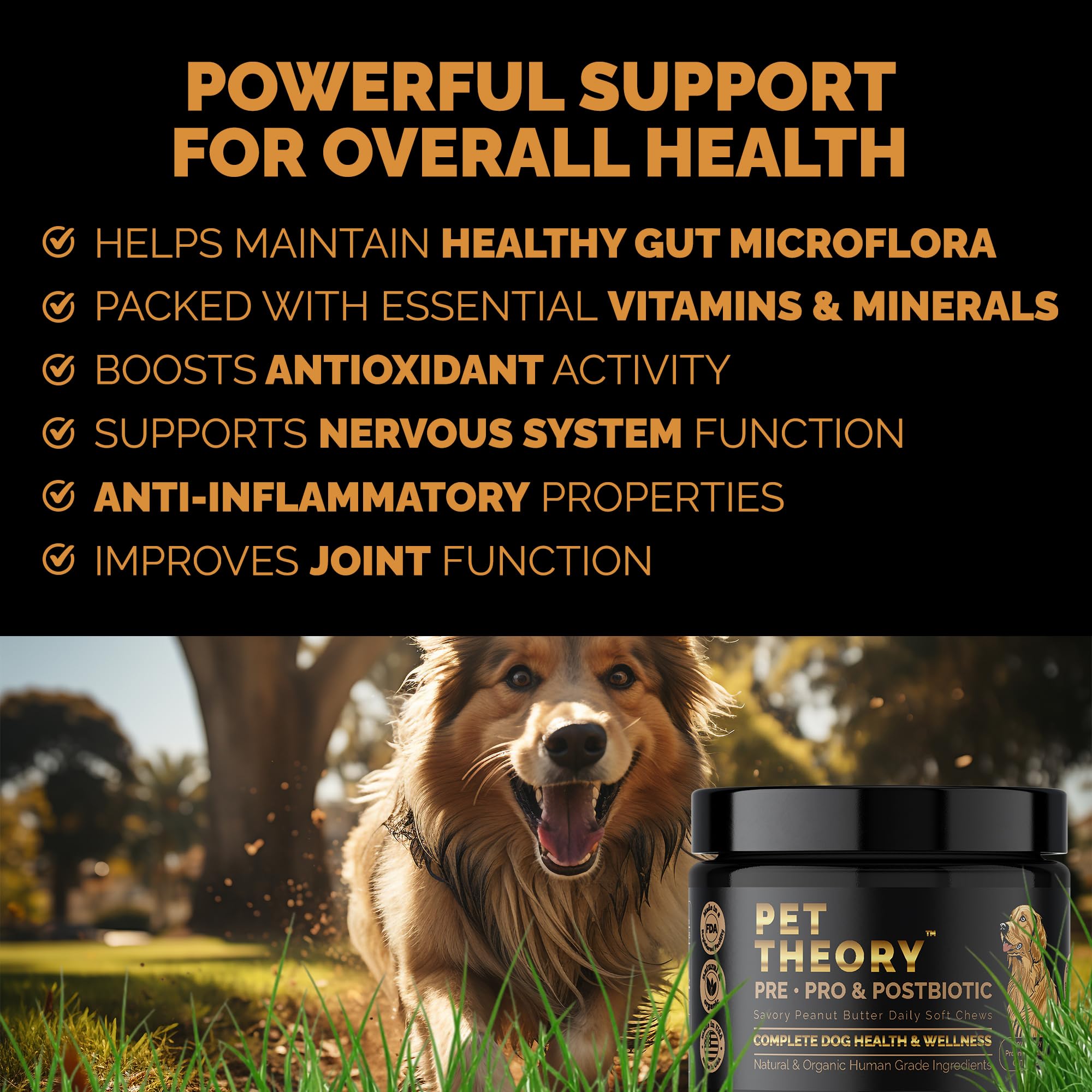 Pet Theory Probiotics for Dogs. Dog Digestive Health-Pre Pro and Postbiotic Combination-Pet Supplements for Gut Health-Supports Digestion, Boost Immunity-100CT Soft Chews Pet Theory uk supplements