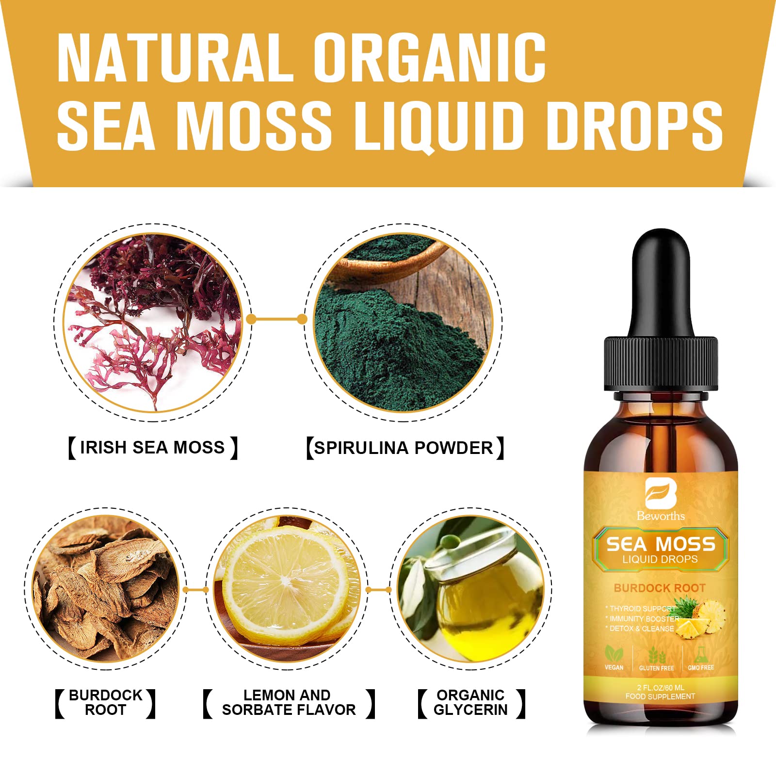 B BEWORTHS Sea Moss Liquid Drops - Organic Irish Sea Moss Gel with Burdock Root B BEWORTHS uk supplements