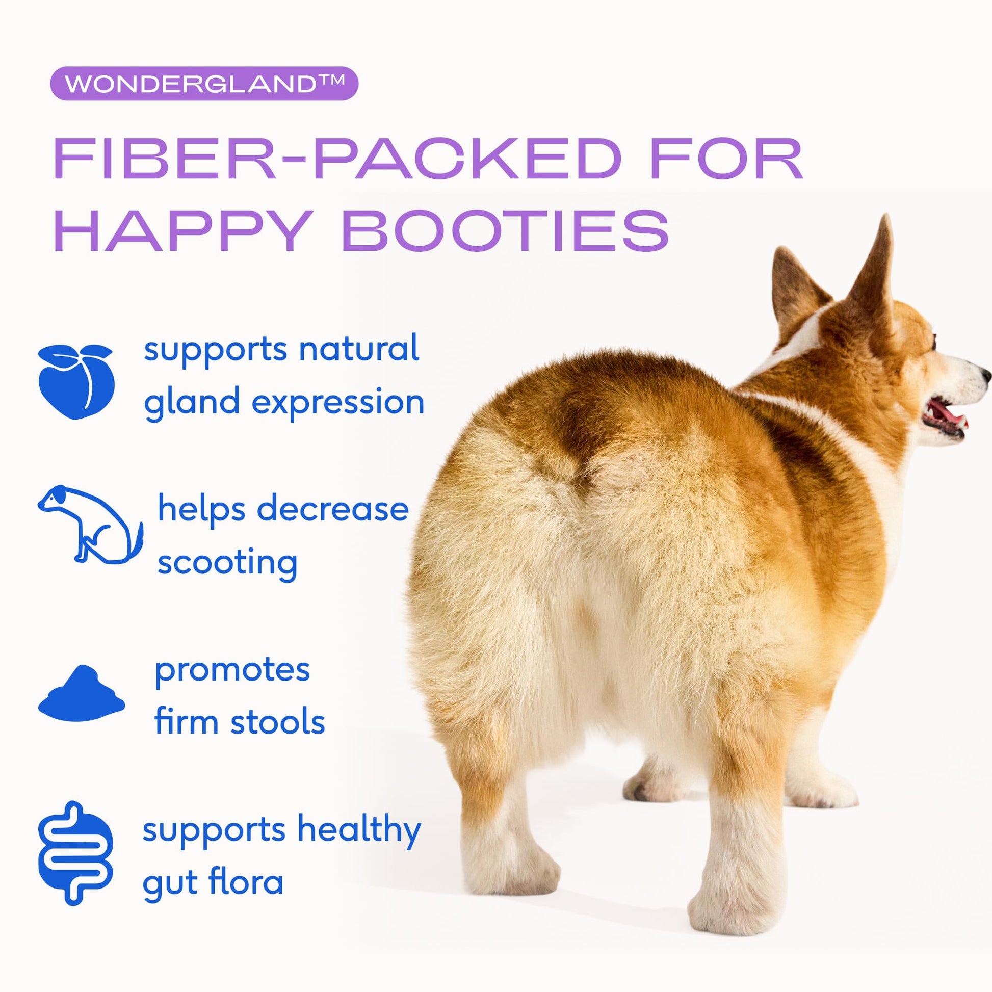 Native Pet WonderGland - Dog Anal Gland Supplement - Promotes Firm Stools, Natural Gland Expression to Help Reduce Scooting - Fiber Food Topper with Miscanthus Grass, Pumpkin & Probiotics - 30 Scoops Native Pet uk supplements