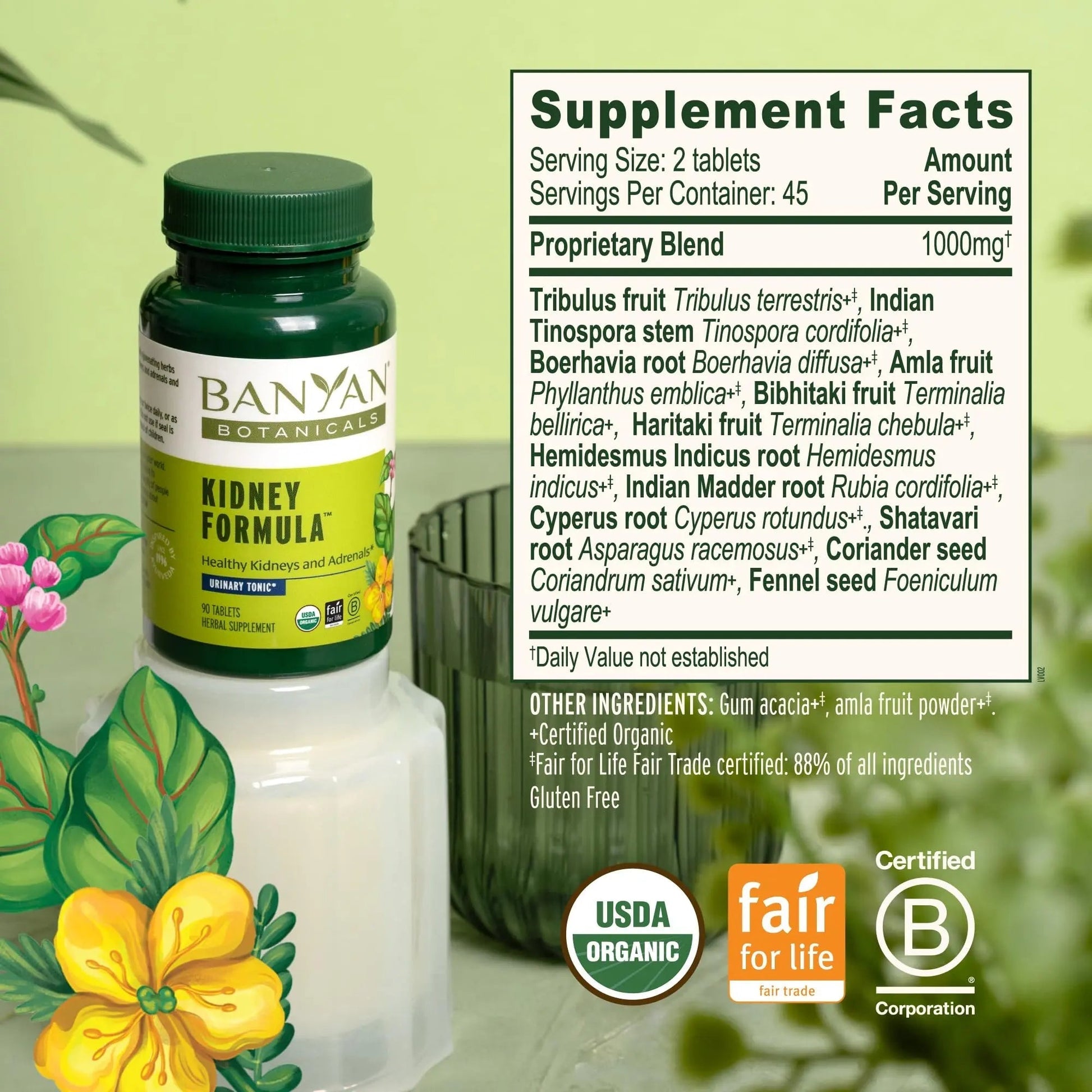 Banyan Botanicals Organic Kidney Formula–Urinary Tract Support & Detox Supplement–Gokshura & Punarnava for Fluid Balance & Systemic Cleansing–Cooling Genitourinary Tonic-90 Tablets-USDA Organic Banyan Botanicals uk supplements