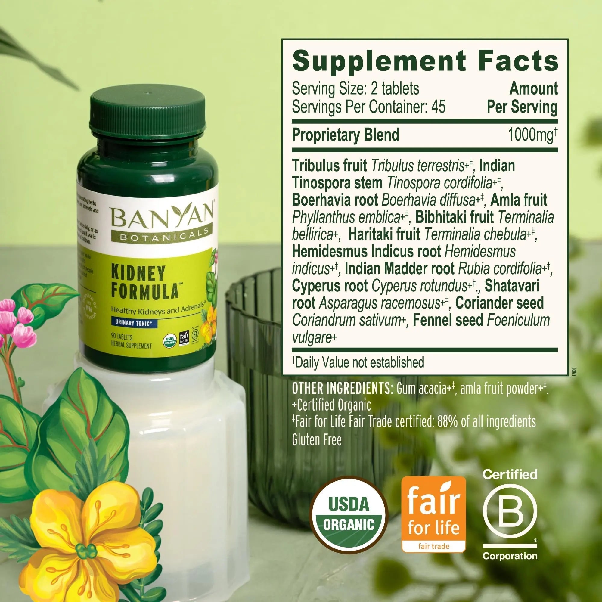 Banyan Botanicals Organic Kidney Formula–Urinary Tract Support & Detox Supplement–Gokshura & Punarnava for Fluid Balance & Systemic Cleansing–Cooling Genitourinary Tonic-90 Tablets-USDA Organic Banyan Botanicals uk supplements