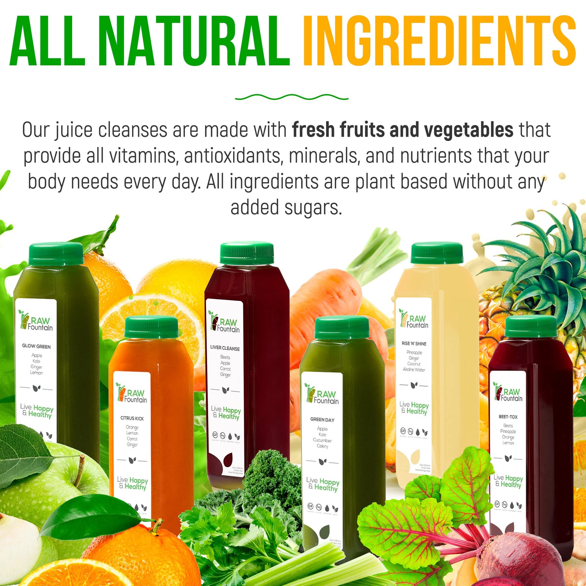 Raw Fountain 1 Day Juice Cleanse, All Natural Detox Cleanse, Cold Presssed Fruit Raw Fountain uk supplements