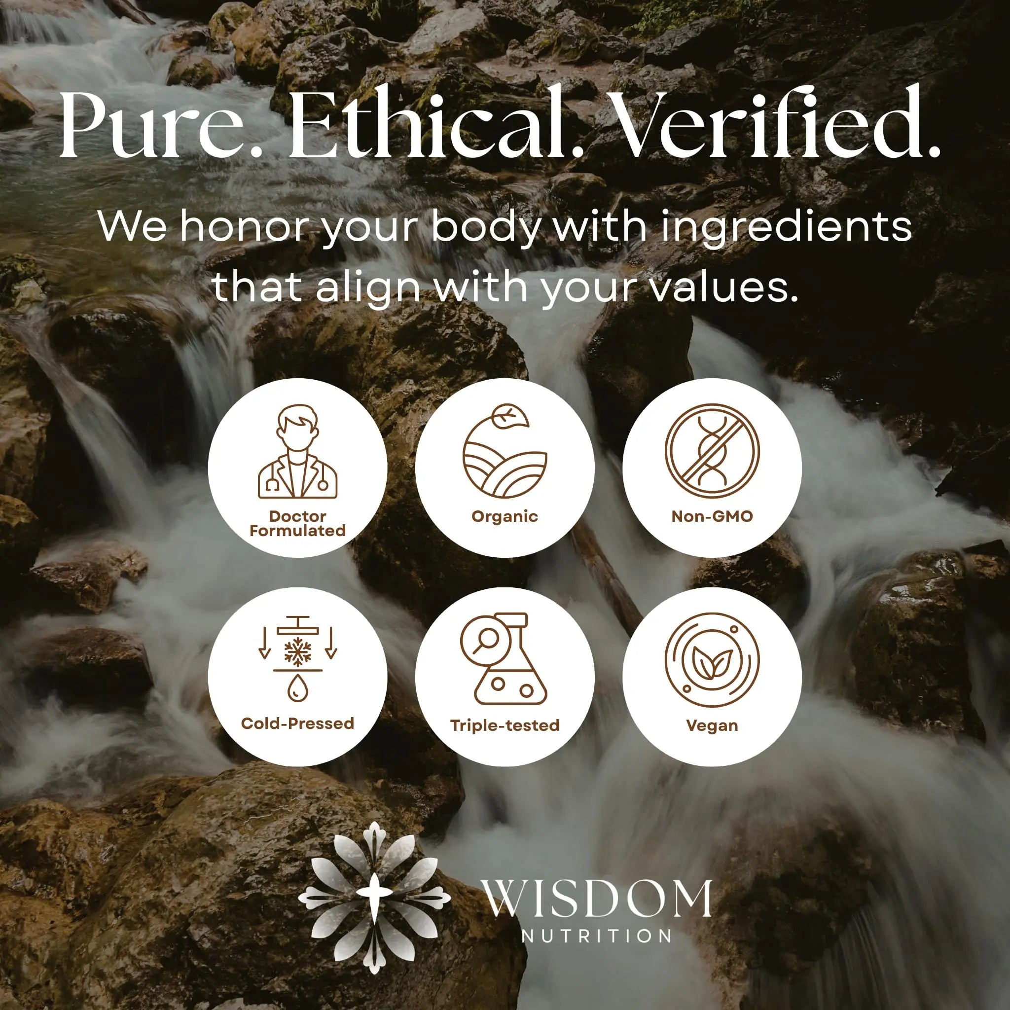 Organic Turmeric, Frankincense and Myrrh – Herbal Supplement Blend for Energy, Detox, Focus, Immunity & Stress – Non-GMO Vegan Tonic with Milk Thistle – Wisdom Bible Based Blend – 2oz Liquid Drops Wisdom Nutrition uk supplements