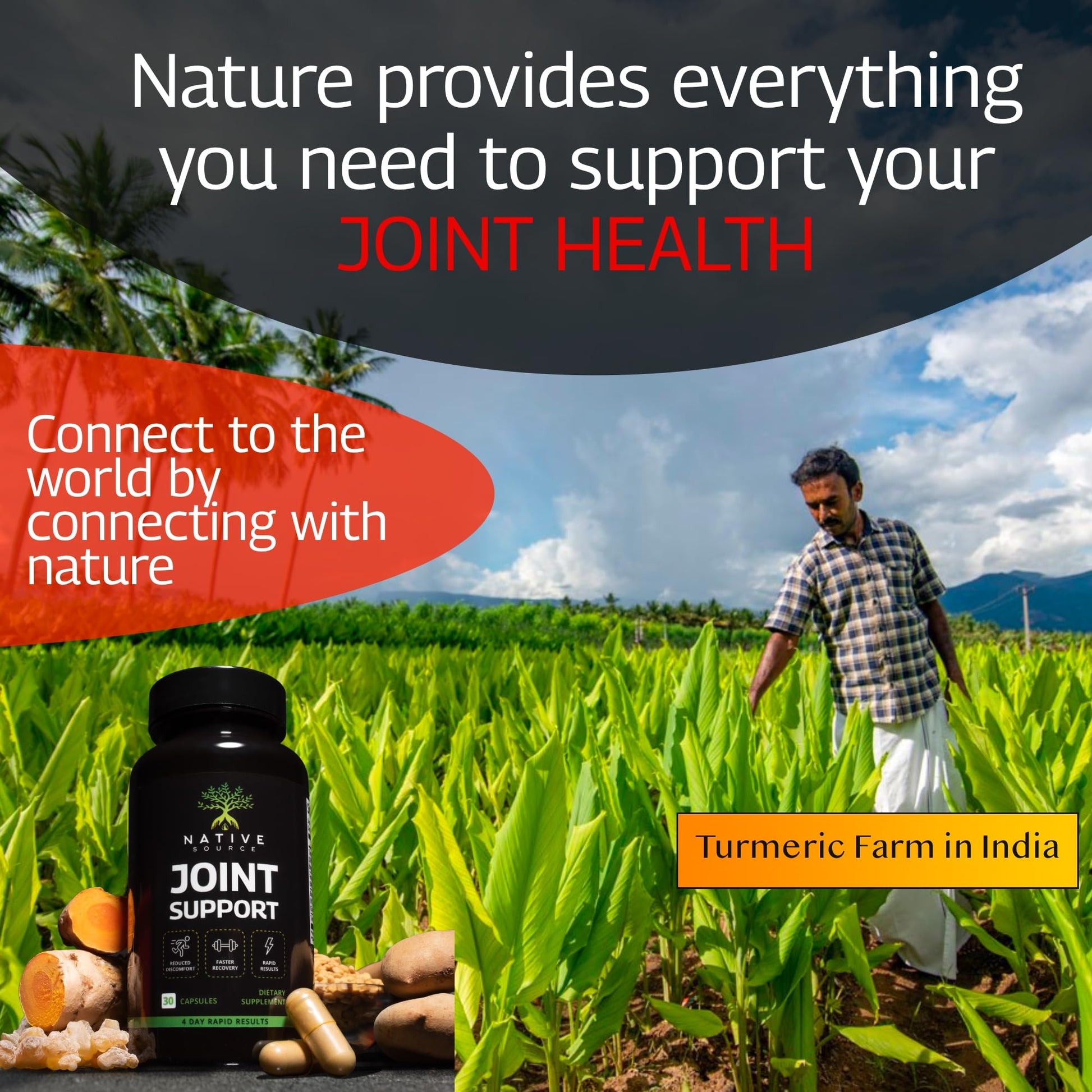 Native Source Joint Support Supplement - Turmeric - Tamarind - Boswellia - Fenugreek Native Source uk supplements