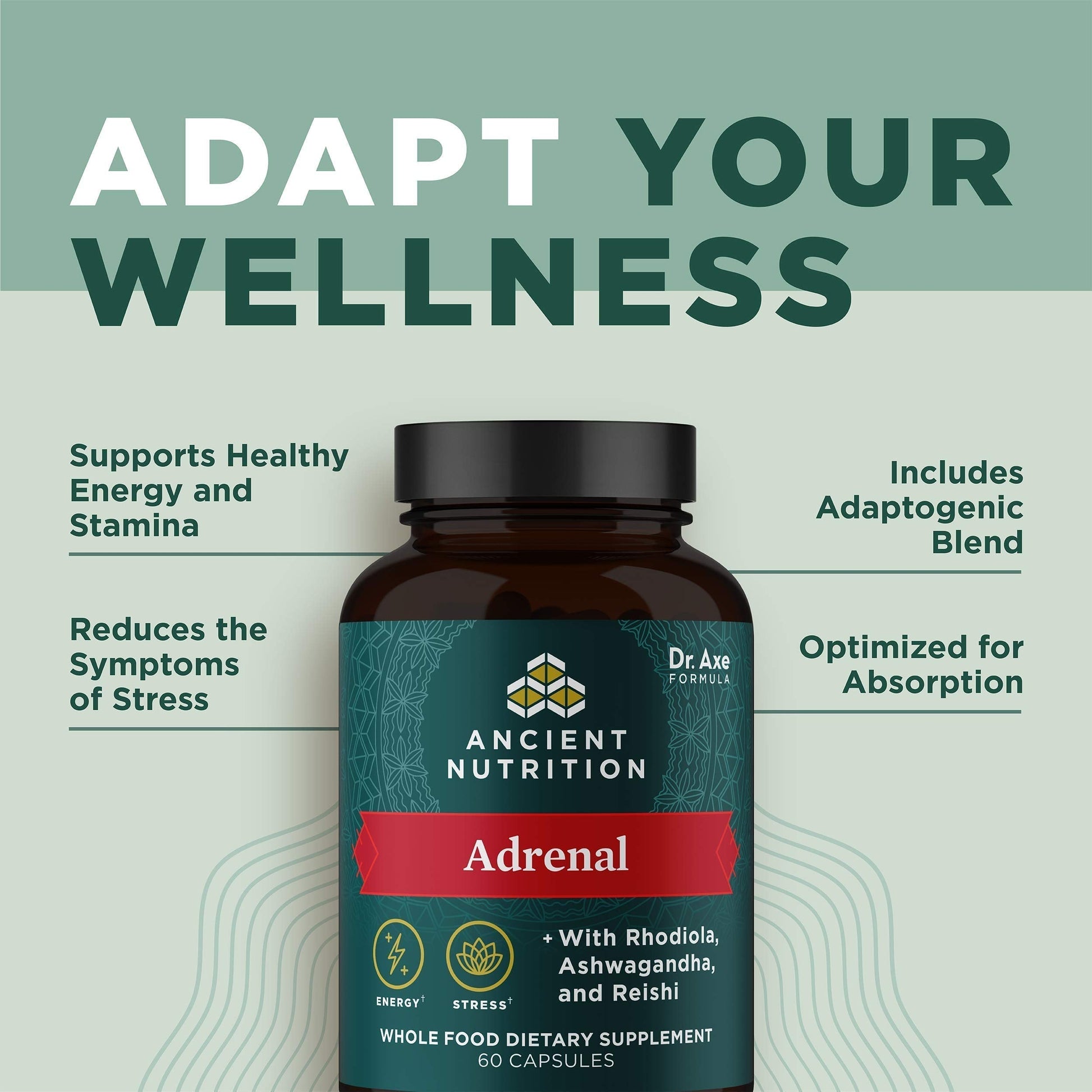 Ancient Nutrition Adrenal Support with Ashwagandha Supplement, Helps Reduce Stress & Fatigue, Paleo and Keto Friendly, Gluten Free, 1300mg, 60 Capsules Ancient Nutrition uk supplements