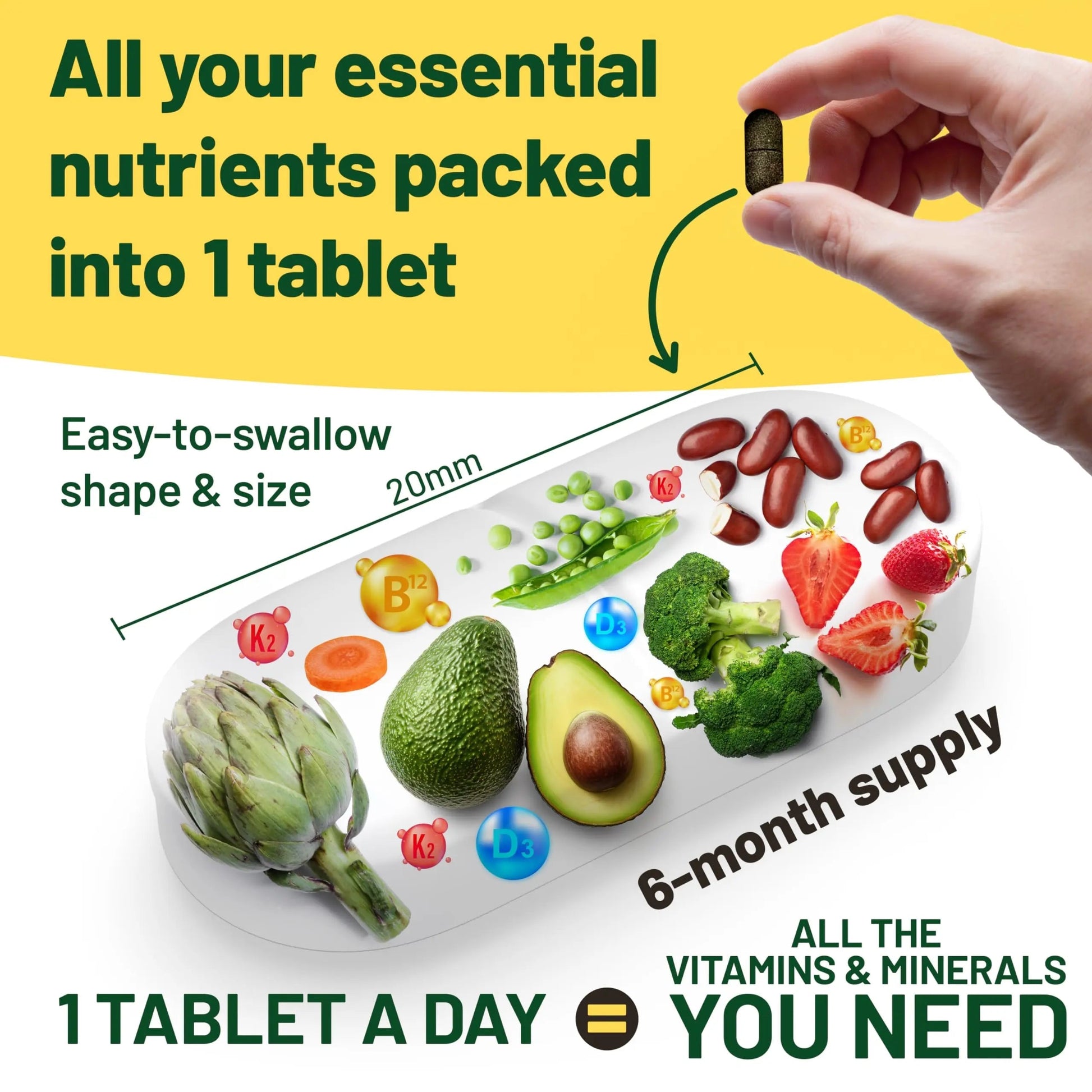 Vegan Vitality Immunity Booster Bundle 6 Months - Vegan Multivitamins and Vegan Omega 3 Algae Oil. High Strength Plant Based Formula for Immunity Vegan Vitality uk supplements