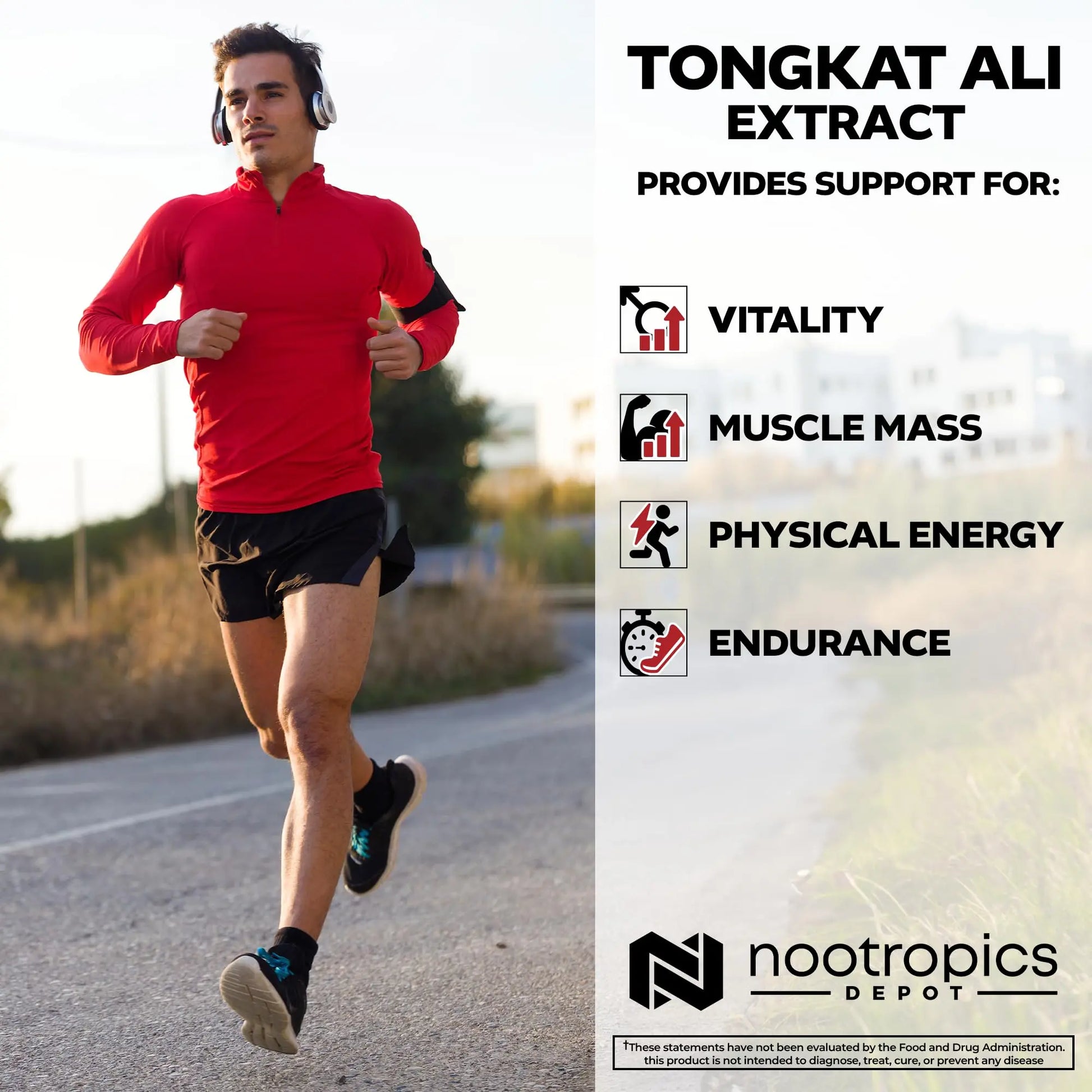 Depot Tongkat Ali Extract Capsules | 100mg | 60 Count | 10% Eurycomanone by HPTLC | Eurycoma longifolia Root Extract Nootropics Depot uk supplements