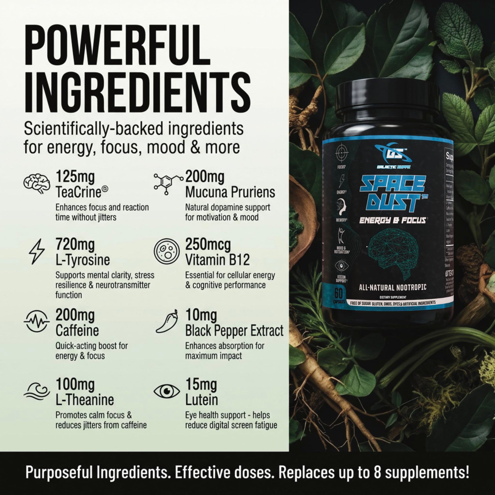 Space Dust Brain Supplements for Memory and Focus – Nootropic Focus Supplement for Brain Health & Mind Boost with TeaCrine, Caffeine, L-Tyrosine, L-Theanine – Cognitive Support Capsules, 60 Count GALACTIC SUPPS uk supplements