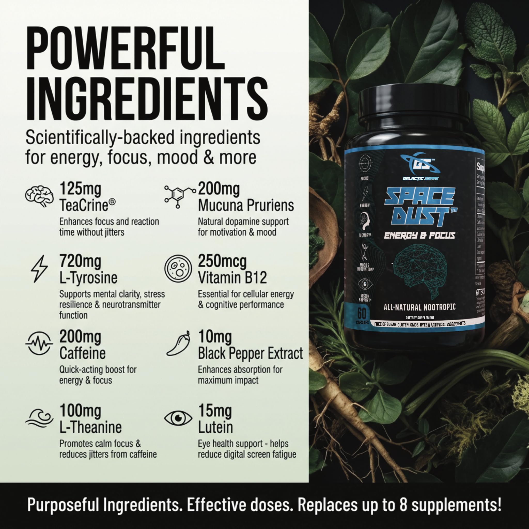 Space Dust Brain Supplements for Memory and Focus – Nootropic Focus Supplement for Brain Health & Mind Boost with TeaCrine, Caffeine, L-Tyrosine, L-Theanine – Cognitive Support Capsules, 60 Count GALACTIC SUPPS uk supplements