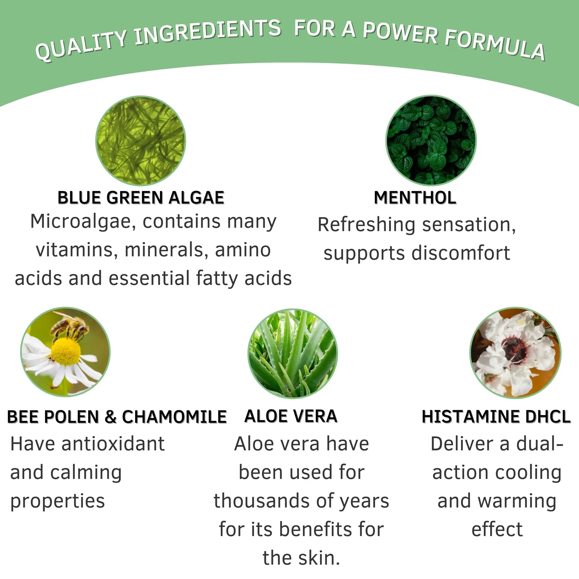Bioxtron Life Cream Natural AFA Stem Cell Supplement 2 oz - Joint Pain - Muscle Pain - Fatigue Bioxtron uk supplements