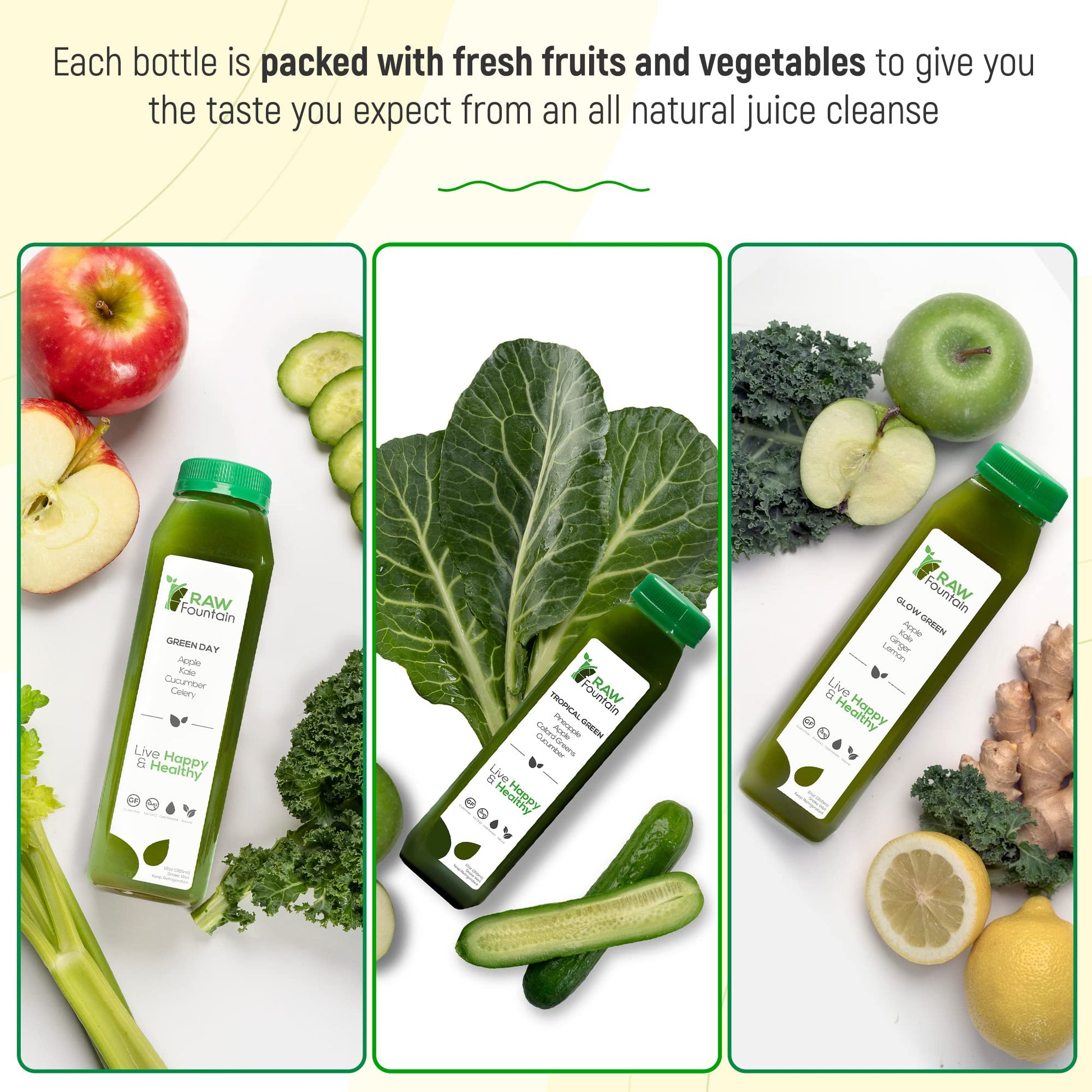 1 Day Green Juice Cleanse by Raw Fountain, All Natural Raw, Vegan Detox, Cold Pressed Raw Fountain uk supplements