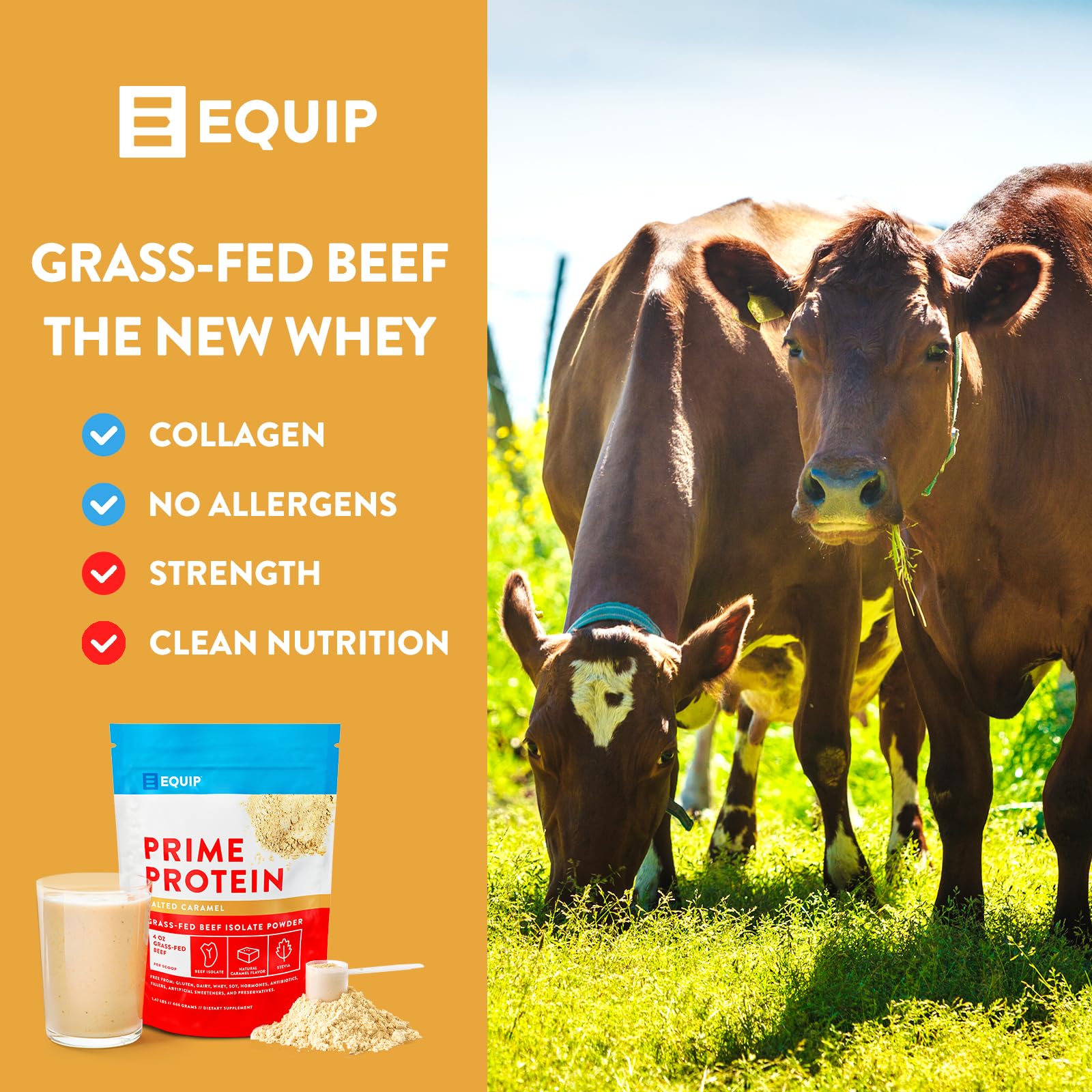 Equip Foods Prime Protein - Grass Fed Beef Protein Powder Isolate - Paleo and Keto Equip uk supplements