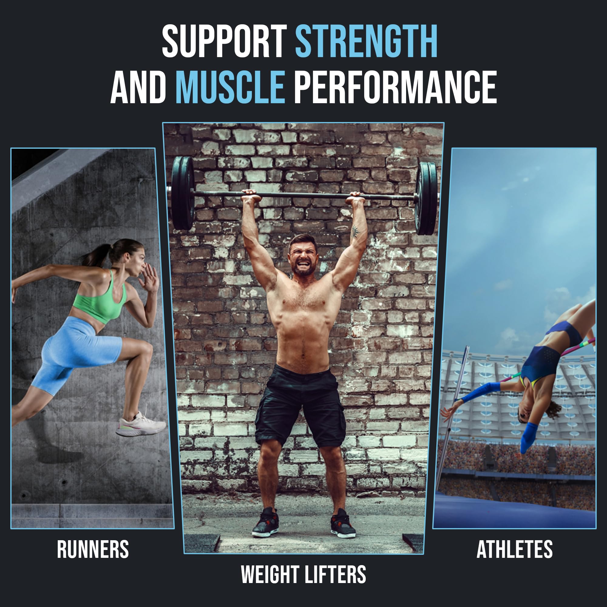 NHHS Micronized Creatine Monohydrate – Supports Strength & Muscle Performance | Ultra-Pure, Unflavored, 60 Servings, 300 Grams – Made in USA, Gluten-Free, Non-GMO NHHS uk supplements