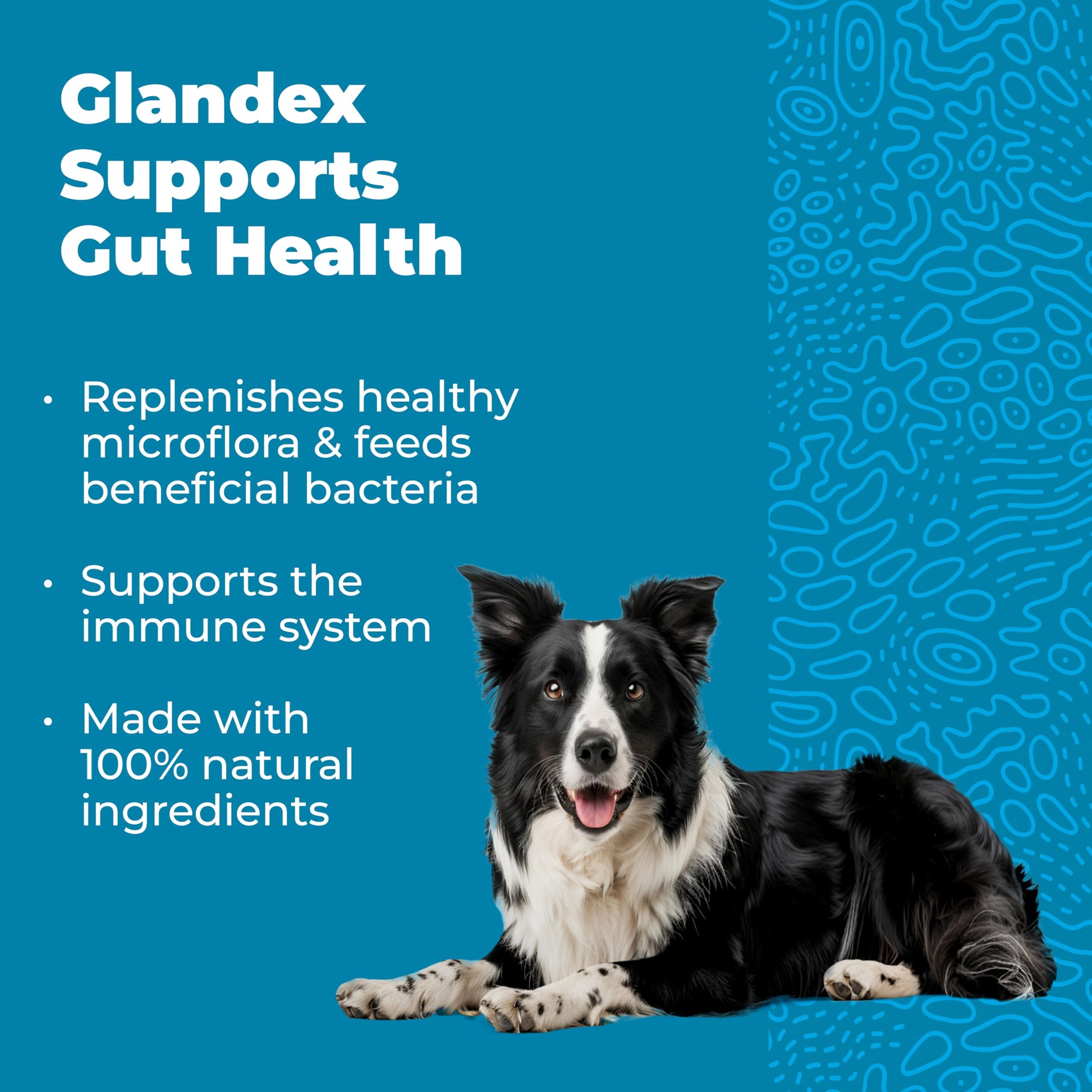 Vetnique Glandex Daily Probiotics for Dogs with Prebiotics to Support Gut Health with Fiber and Digestive Enzymes, Dog Probiotic Chews or Powders (30ct Chews, Bacon Chews) Vetnique uk supplements