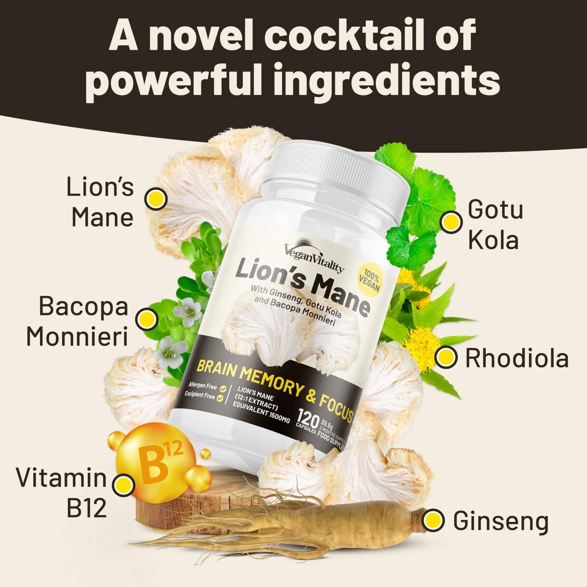 Vegan Vitality Lion's Mane x General Health Combo Bundle - 6 Months Lion's Mane and Multivitamins Vegan Vitality uk supplements