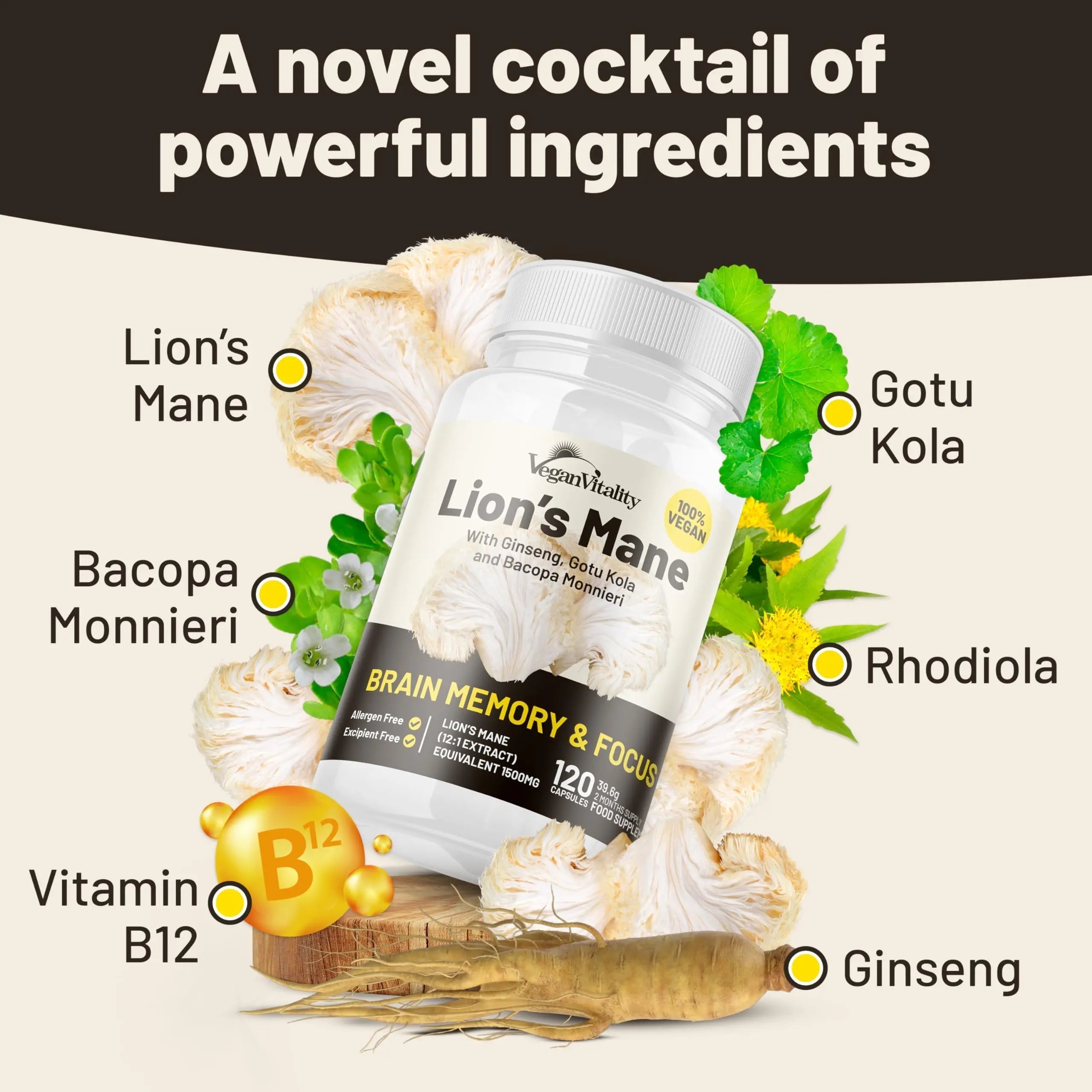 Vegan Vitality Lion's Mane x General Health Combo Bundle - 6 Months Lion's Mane and Multivitamins Vegan Vitality uk supplements
