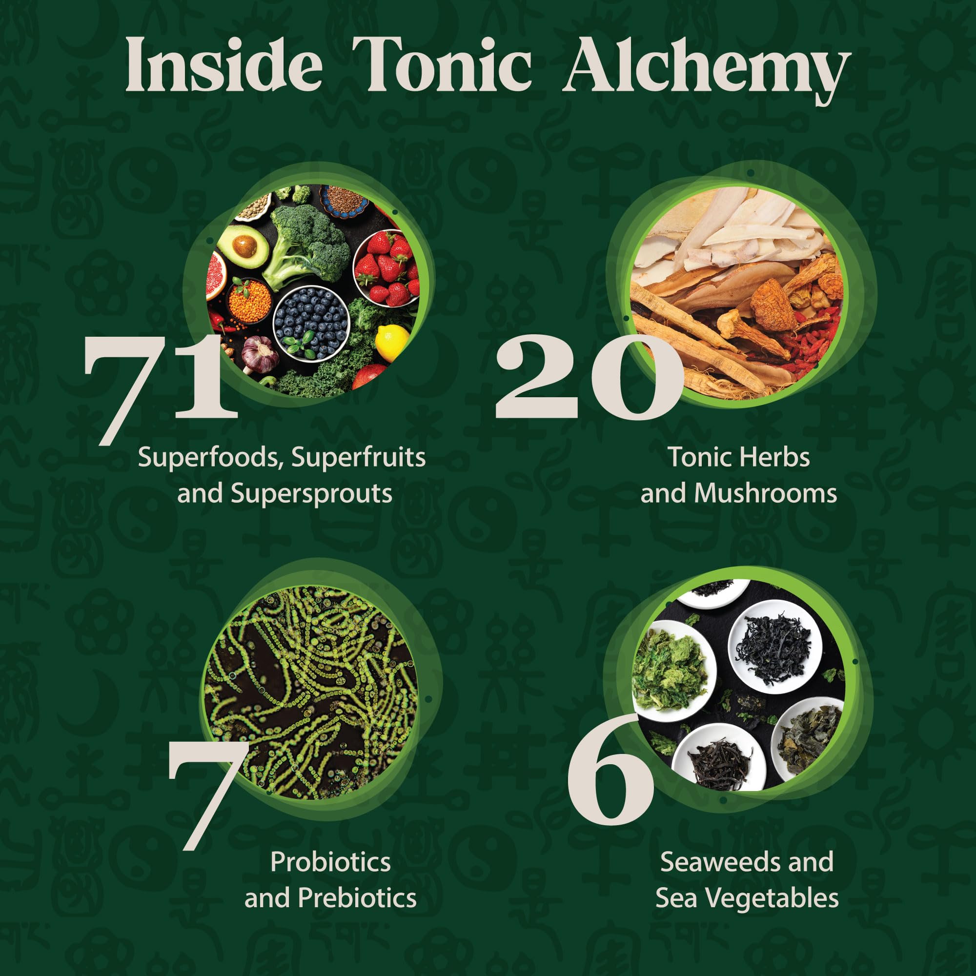 Dragon Herbs Tonic Alchemy Superfood Greens Powder with 91 Ingredients: Tonic Herbs, Ashwagandha, Mushrooms, Probiotics, Super Greens, Seaweeds, Fruits, Vegetables, Spirulina - 30 Servings Dragon Herbs uk supplements