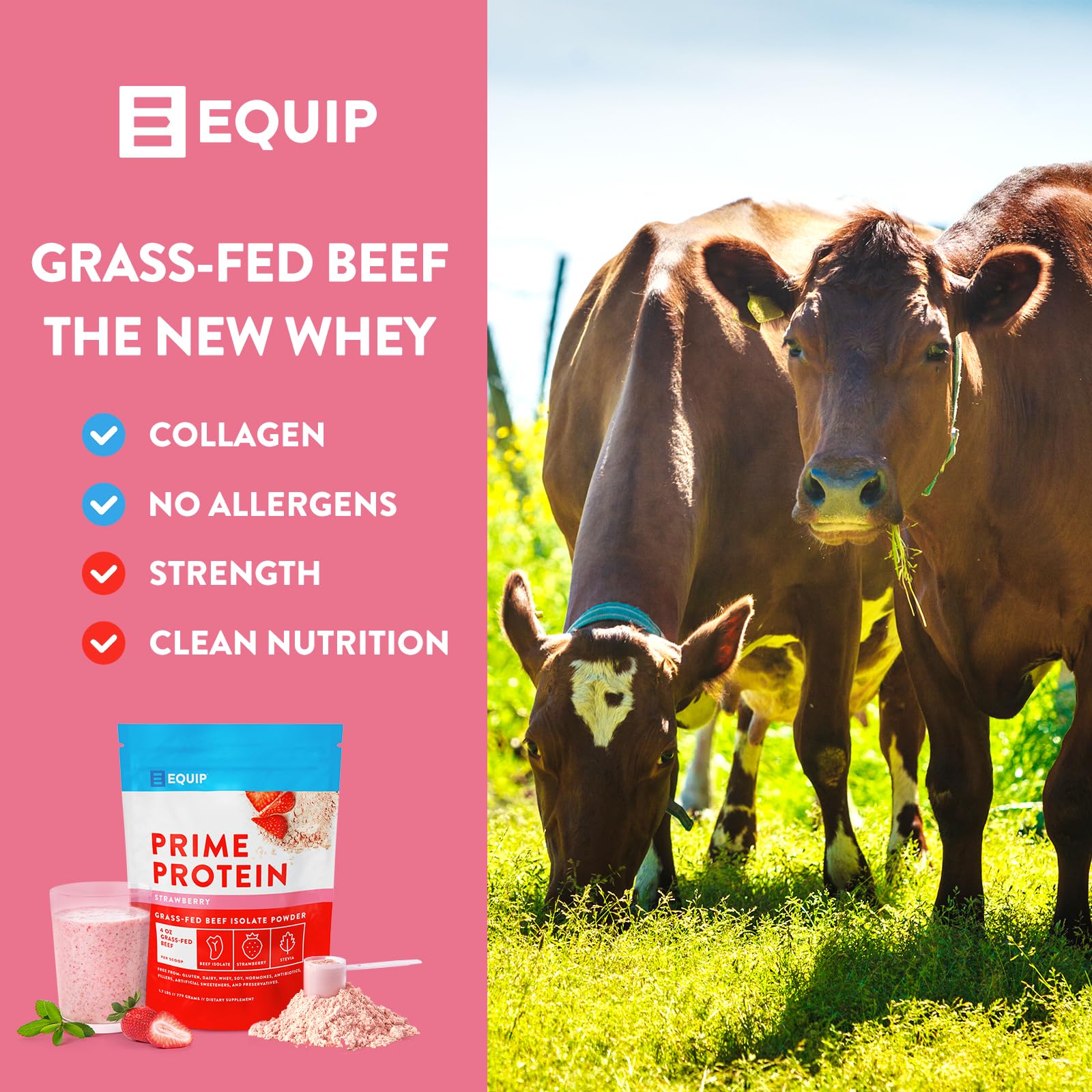 Equip Foods Prime Protein - Grass-Fed Beef Protein Powder Isolate -Paleo and Keto Equip uk supplements