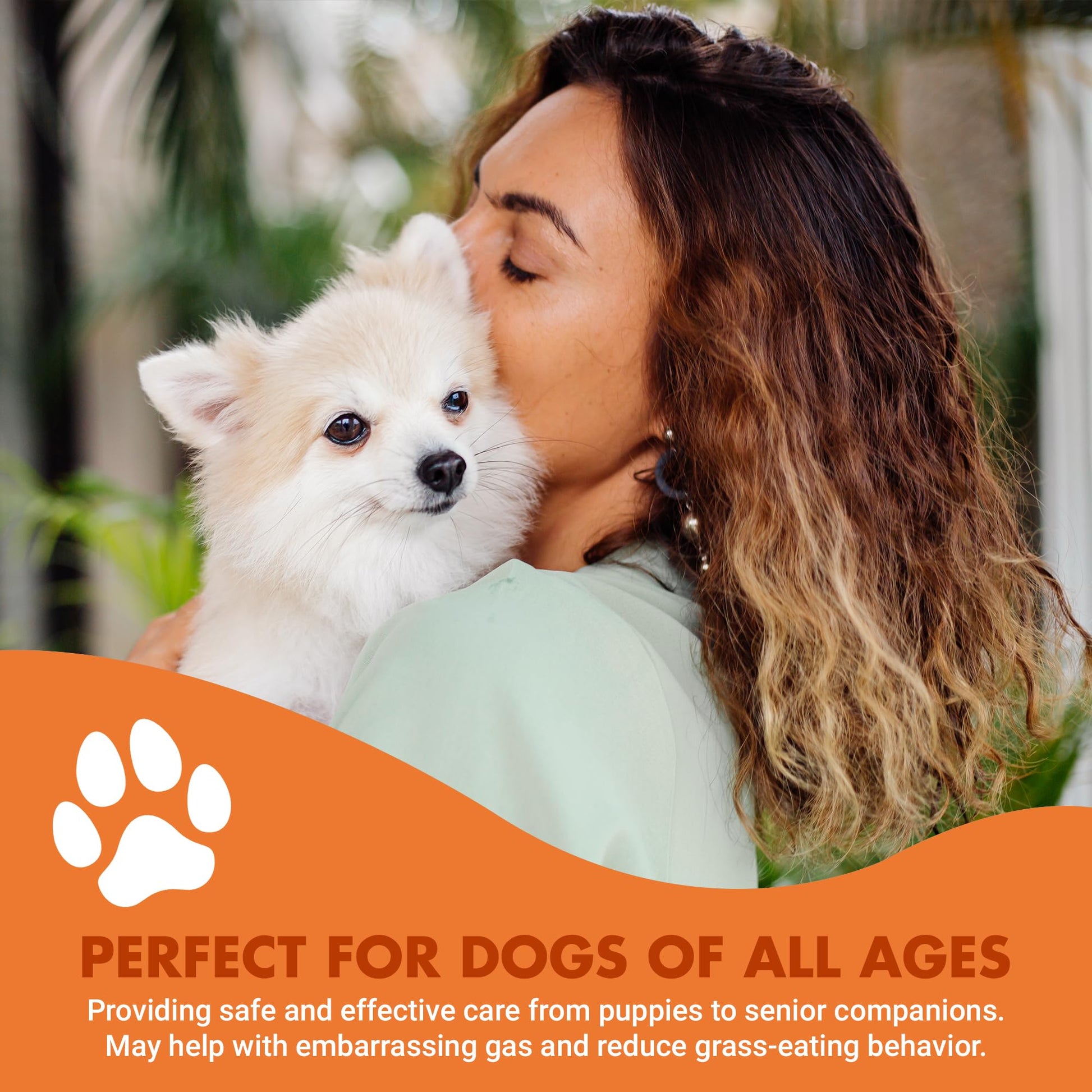 Pre & PostBiotic Support for Dogs – Digestive Upset, Stool Quality & Sensitive Stomach Support – Easy Liquid Formula for Picky Eaters LIQUID-VET uk supplements