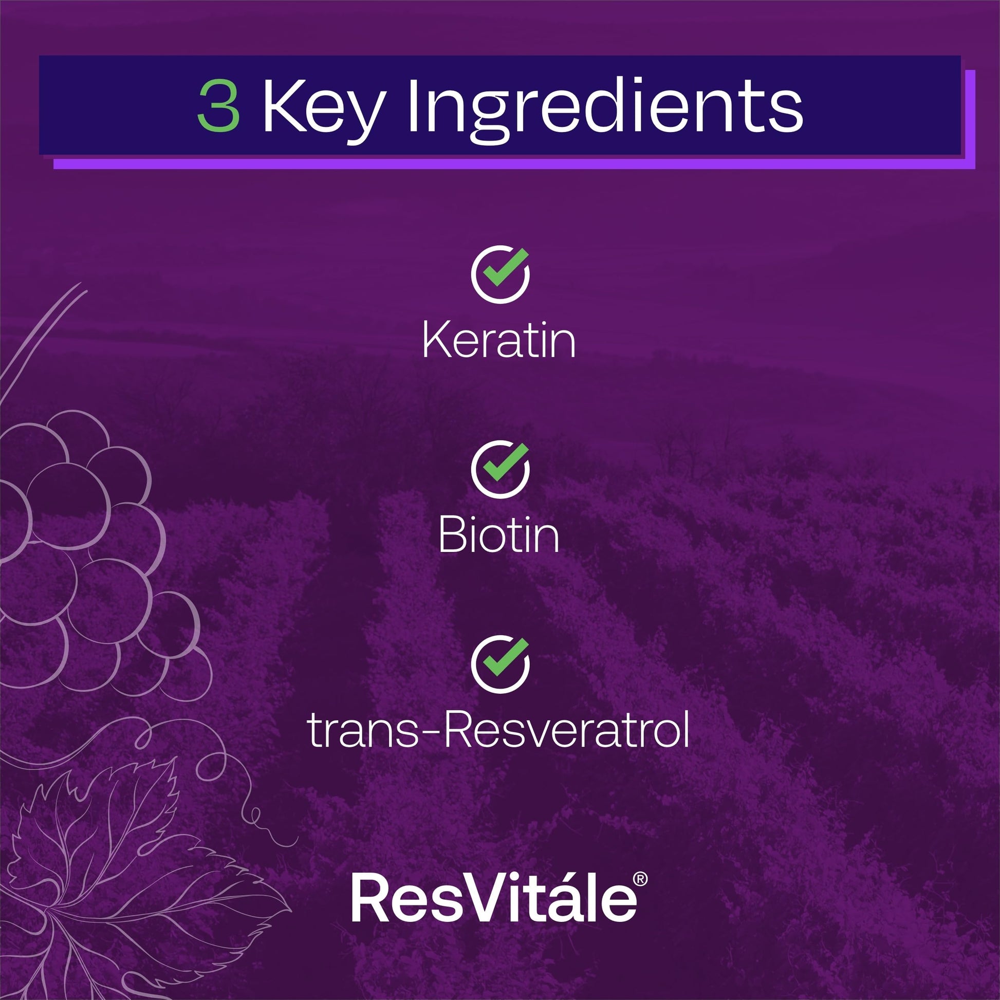 ResVitále Keratin Hair Enhance - Keratin Supplement for Hair Growth - 60 Capsules ResVitale uk supplements