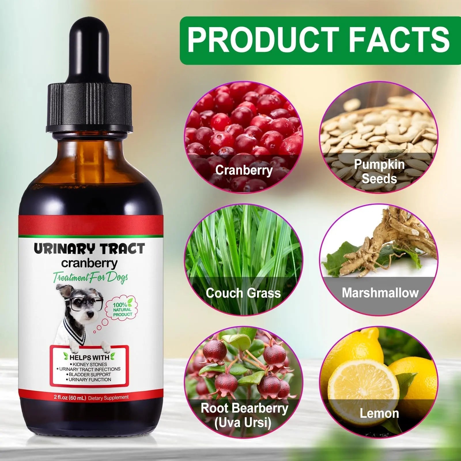 Dog UTI Treatment - Urinary Tract Infection Treatments, Kidney+Bladder Support Supplement, Natural Cranberry Extract for Dogs, Supports Urinary and Digestive Health (2 Fl Oz (Pack of 2)) Onznoz uk supplements