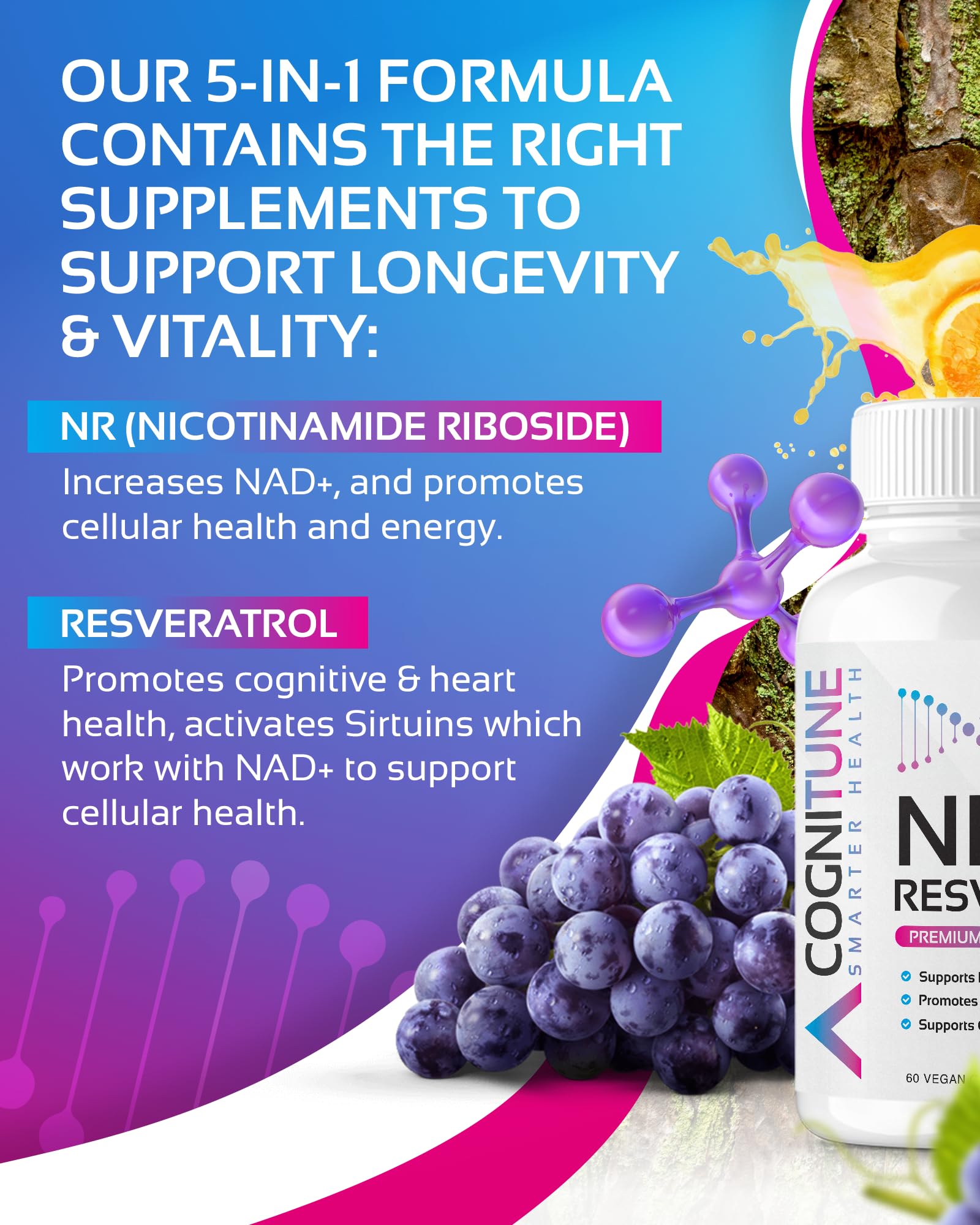 NR + Resveratrol Supplement - Increase NAD, DNA & Cellular Health, Longevity, Vitality. 5-in-1 Anti Aging Formula w/ Nicotinamide Riboside, Trans Resveratrol, Vitamin C, Grape Seed, Pine Bark CogniTune uk supplements
