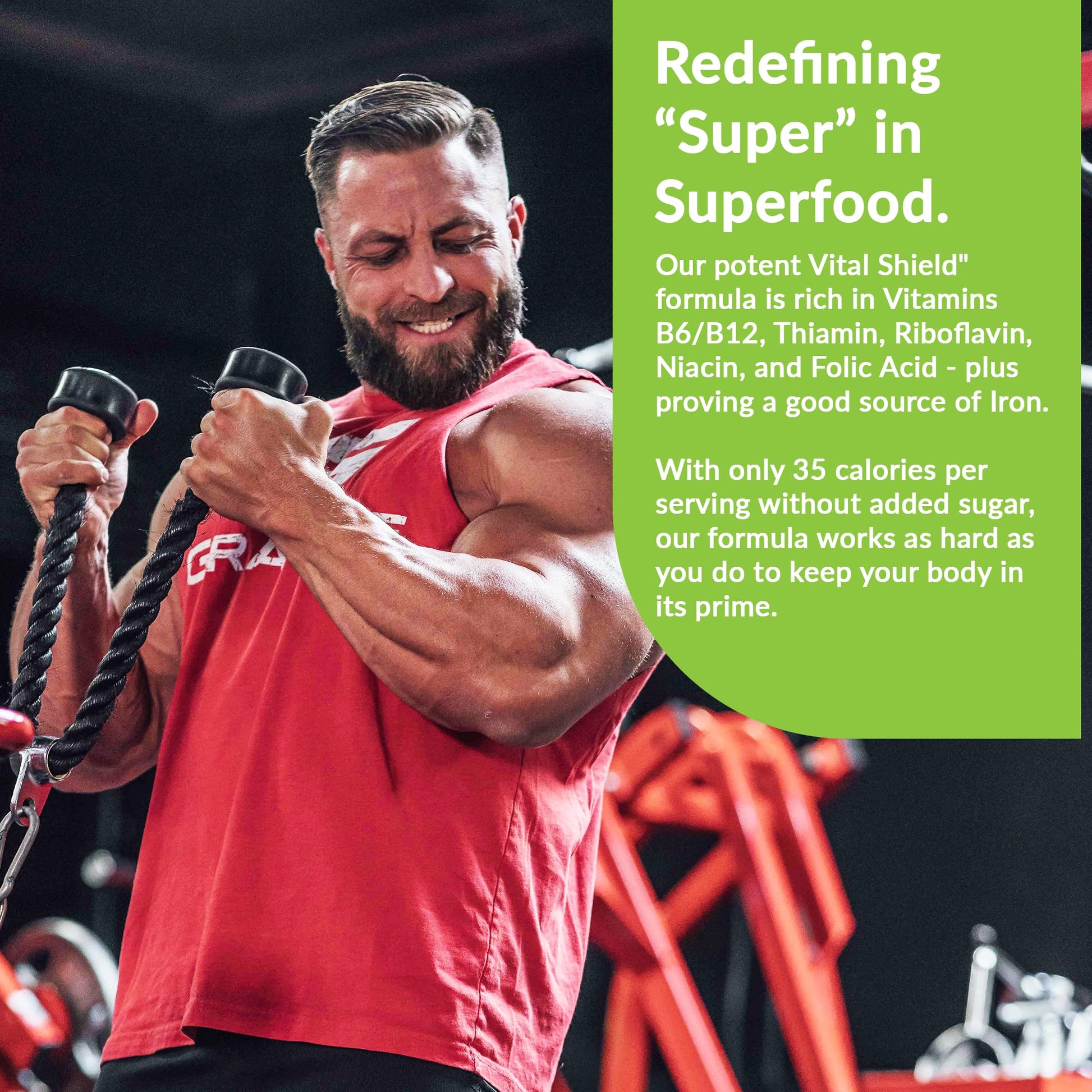 Granite Nutrition Vital Shield - USDA Organic Superfood Greens with Mushrooms & Tart Cherry – Supports Energy, Immune Function & Digestive Health – Lemon Lime Flavor (30 Servings) Granite Supplements uk supplements