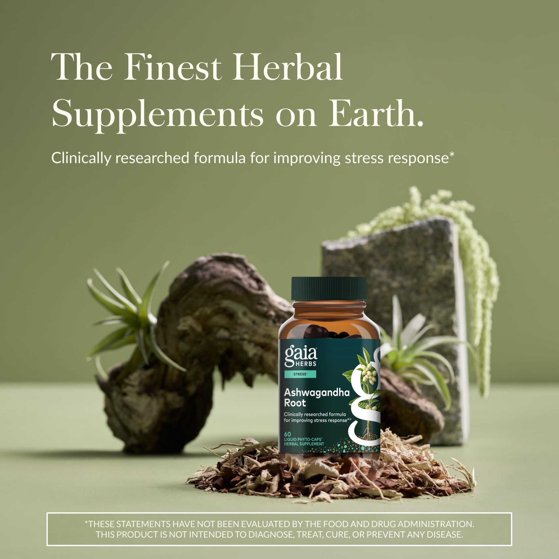 Gaia Herbs Ashwagandha Root - Stress Relief & Sleep Support Supplement - Supports Balanced Energy Levels & Positive Outlook* - 60 Vegan Liquid Phyto-Caps (30 Servings) Gaia Herbs uk supplements