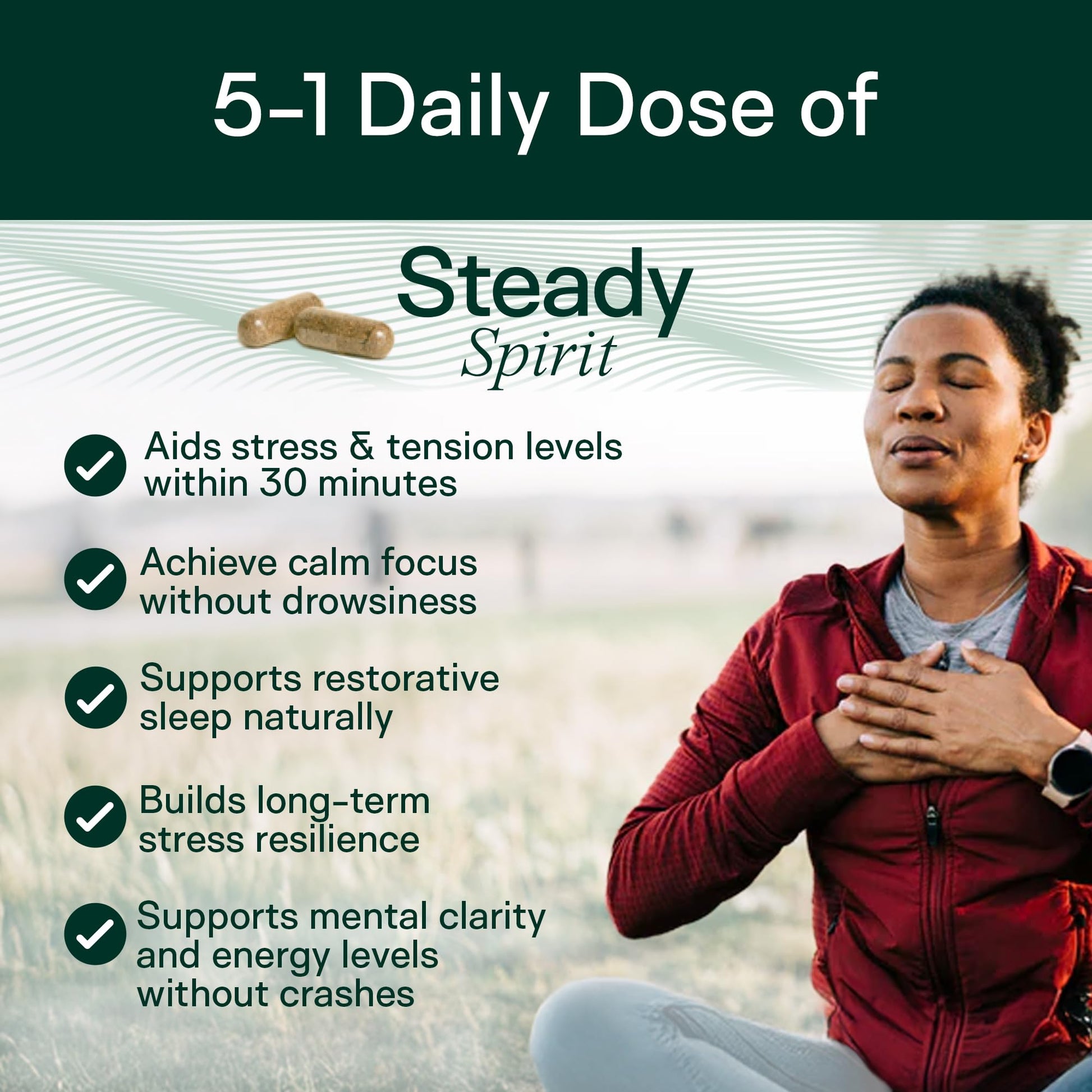 Adapt Naturals Steady Spirit Stress, Anxiety & Mood Support Supplement for Women and Men with Ashwagandha, L-Theanine, Holy Basil, Saffron, and Lemon Balm - Stress Relief Supplement - 30 Day Supply ADAPT NATURALS BY CHRIS KRESSER uk supplements