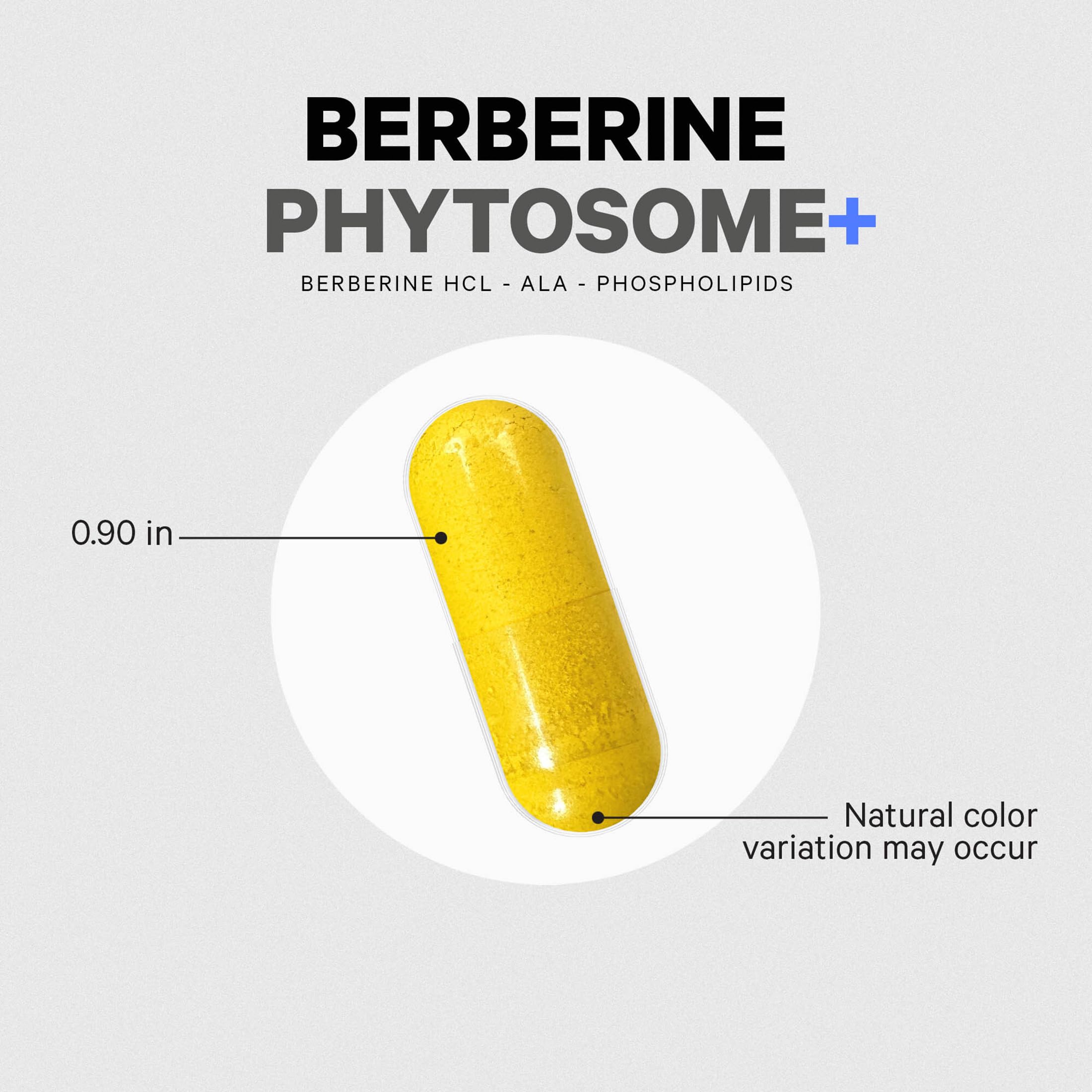 Codeage Berberine Phytosome Supplement - Berberine HCL, Alpha Lipoic Acid, Phospholipid Complex - 2-Month Supply - Berberine HCL - Berberine Hydrochloride - Gluten-Free, Non-GMO - 60 Capsules Codeage uk supplements