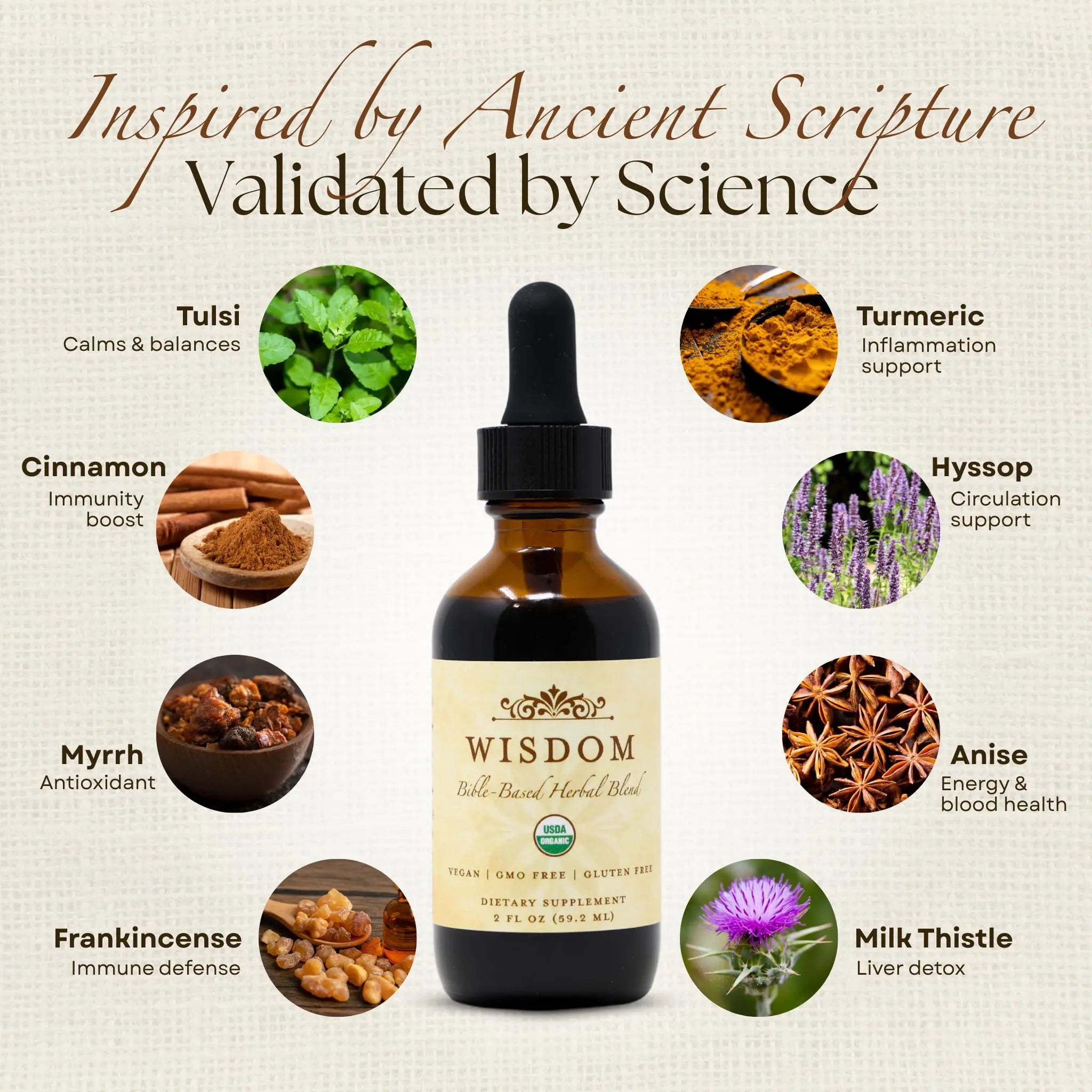 Organic Turmeric, Frankincense and Myrrh – Herbal Supplement Blend for Energy, Detox, Focus, Immunity & Stress – Non-GMO Vegan Tonic with Milk Thistle – Wisdom Bible Based Blend – 2oz Liquid Drops Wisdom Nutrition uk supplements