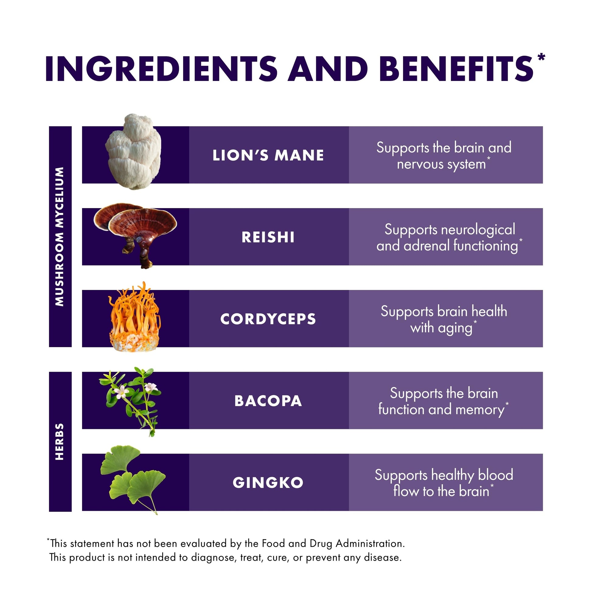 Host Defense MycoBotanicals Brain* Capsules - Brain Support Supplement with Lion's Mane, Reishi & Cordyceps Mushroom - Herbal Supplement for Memory & Focus Support - 60 Capsules Host Defense uk supplements