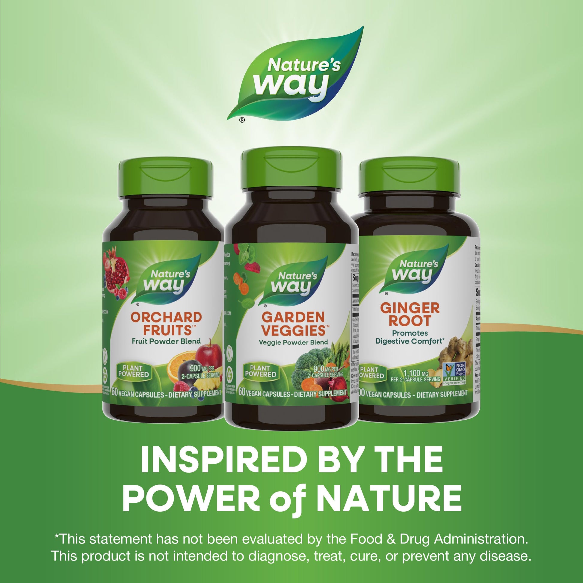 Nature's Way Garden Veggies, Veggie Powder Blend, 900 mg per 2-Capsule Serving, 60 Vegan Capsules Nature's Way uk supplements