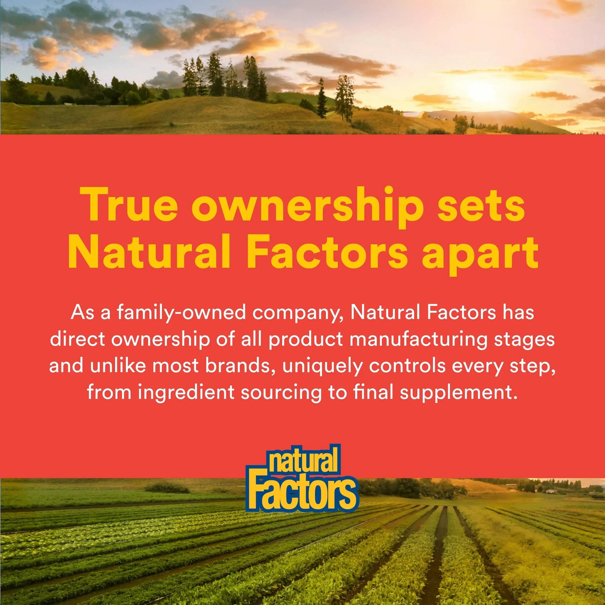 Natural Factors, Celadrin Joint Health, Promotes Flexibility, Mobility and Joint Function, 90 Softgels Natural Factors uk supplements