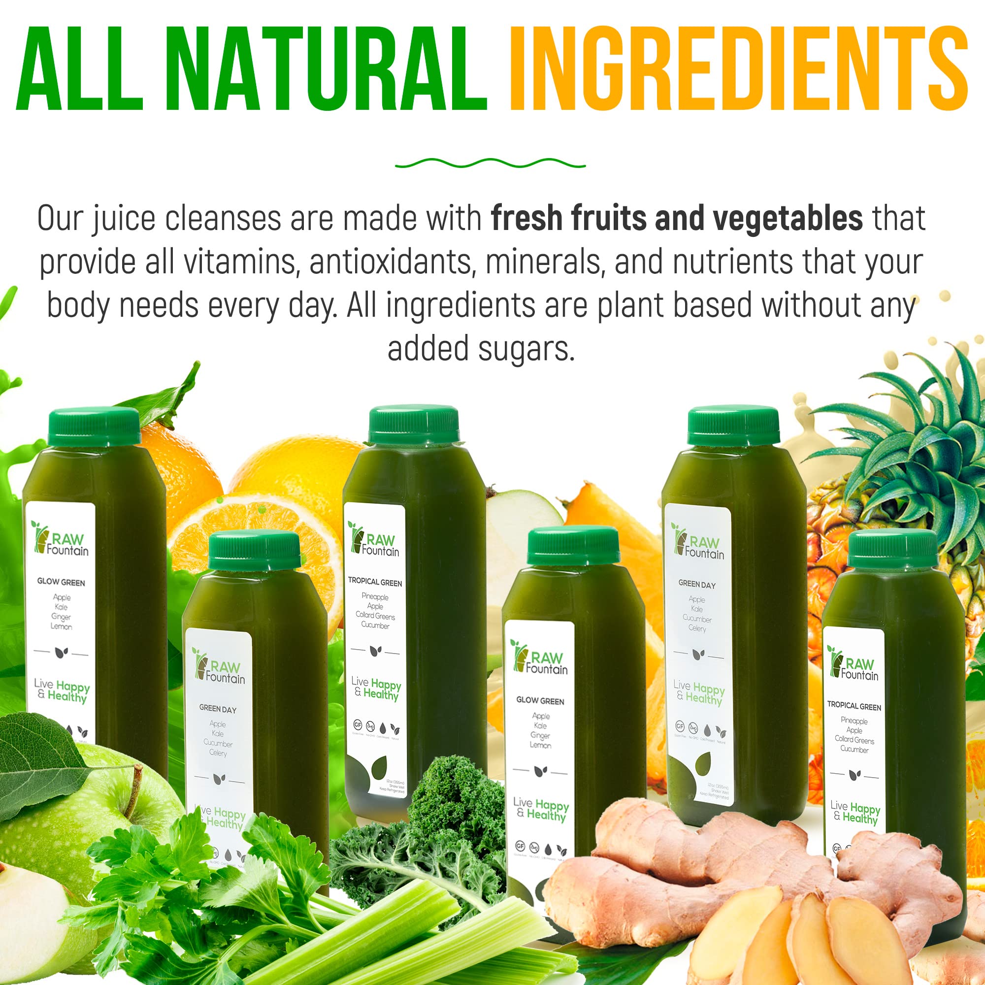 1 Day Green Juice Cleanse by Raw Fountain, All Natural Raw, Vegan Detox, Cold Pressed Raw Fountain uk supplements