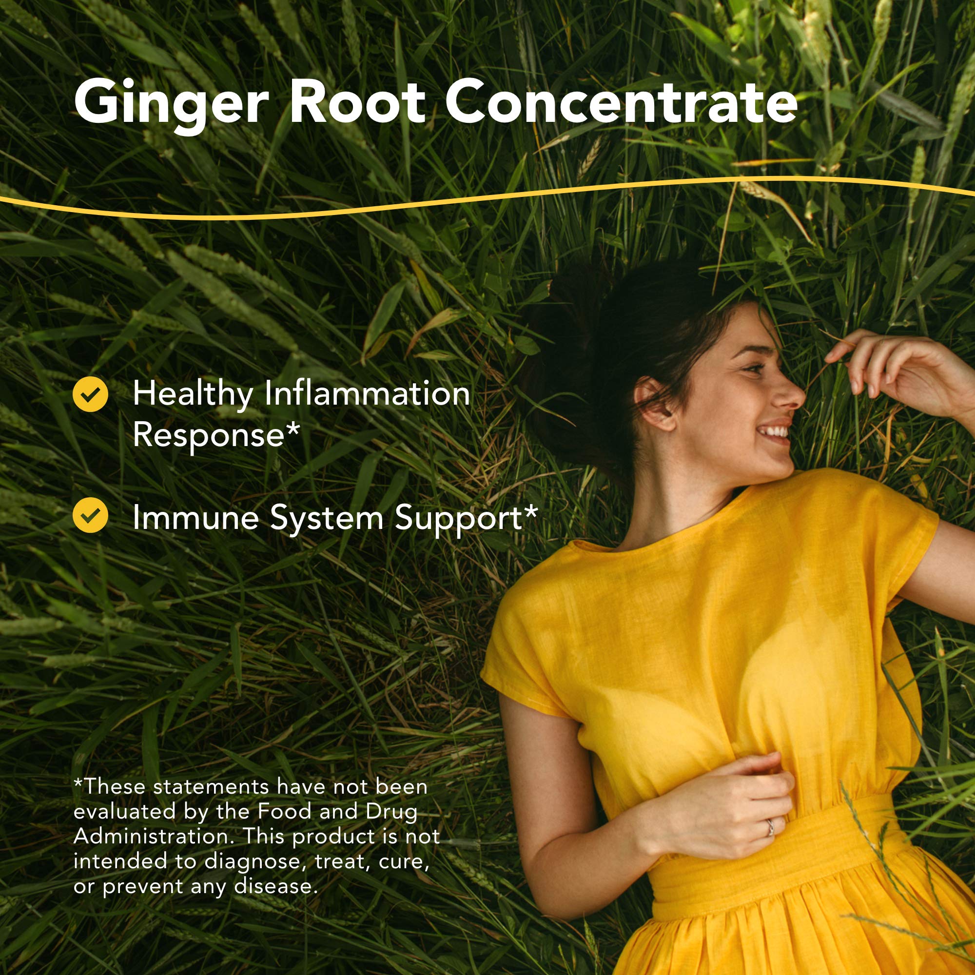 NORTH AMERICAN HERB & SPICE Inflam-eeZ - 90 Capsules - Supports Healthy Immune & Inflammatory Response - Ginger Root, Camu Camu Berries, Bromelain & Papain Plus - Non-GMO - 45 Total Servings NORTH AMERICAN HERB & SPICE uk supplements