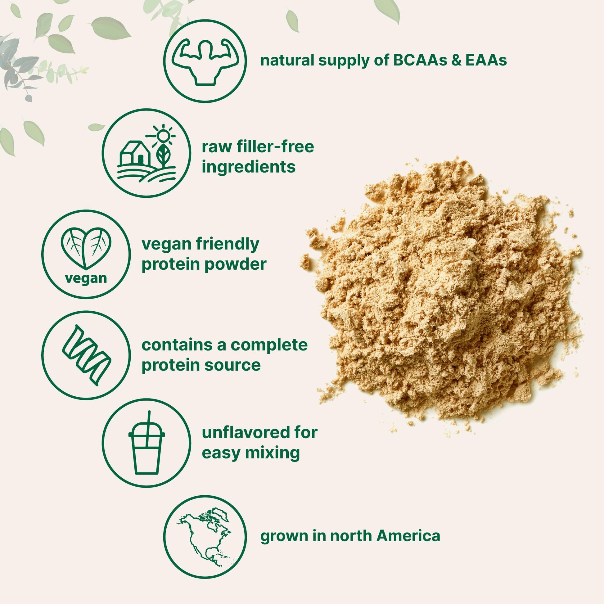 Micro Ingredients North American Grown, Pea Protein Powder, 5 Pounds | Plant Based, Unflavored | Complete Vegan Protein Source with BCAAs & EAAs – 27g Serving | Non-GMO, Keto Friendly Micro Ingredients uk supplements