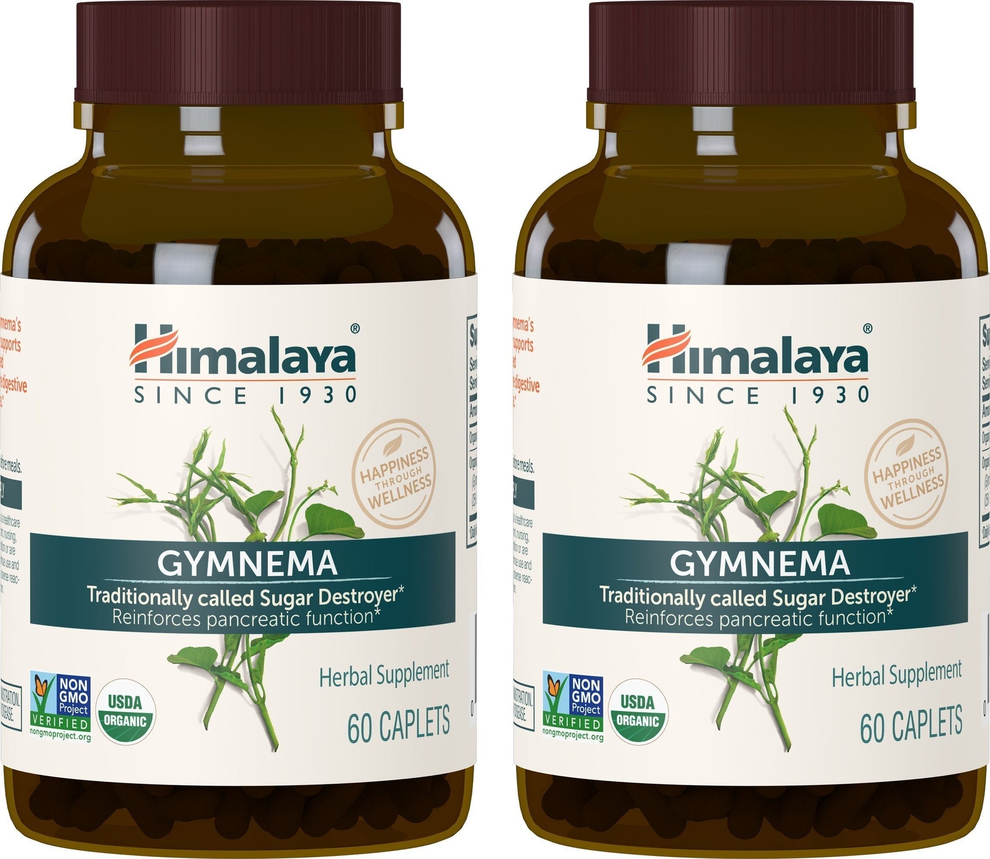 Himalaya Organic Gymnema Herbal Supplement for Weight Management, USDA Certified Himalaya uk supplements