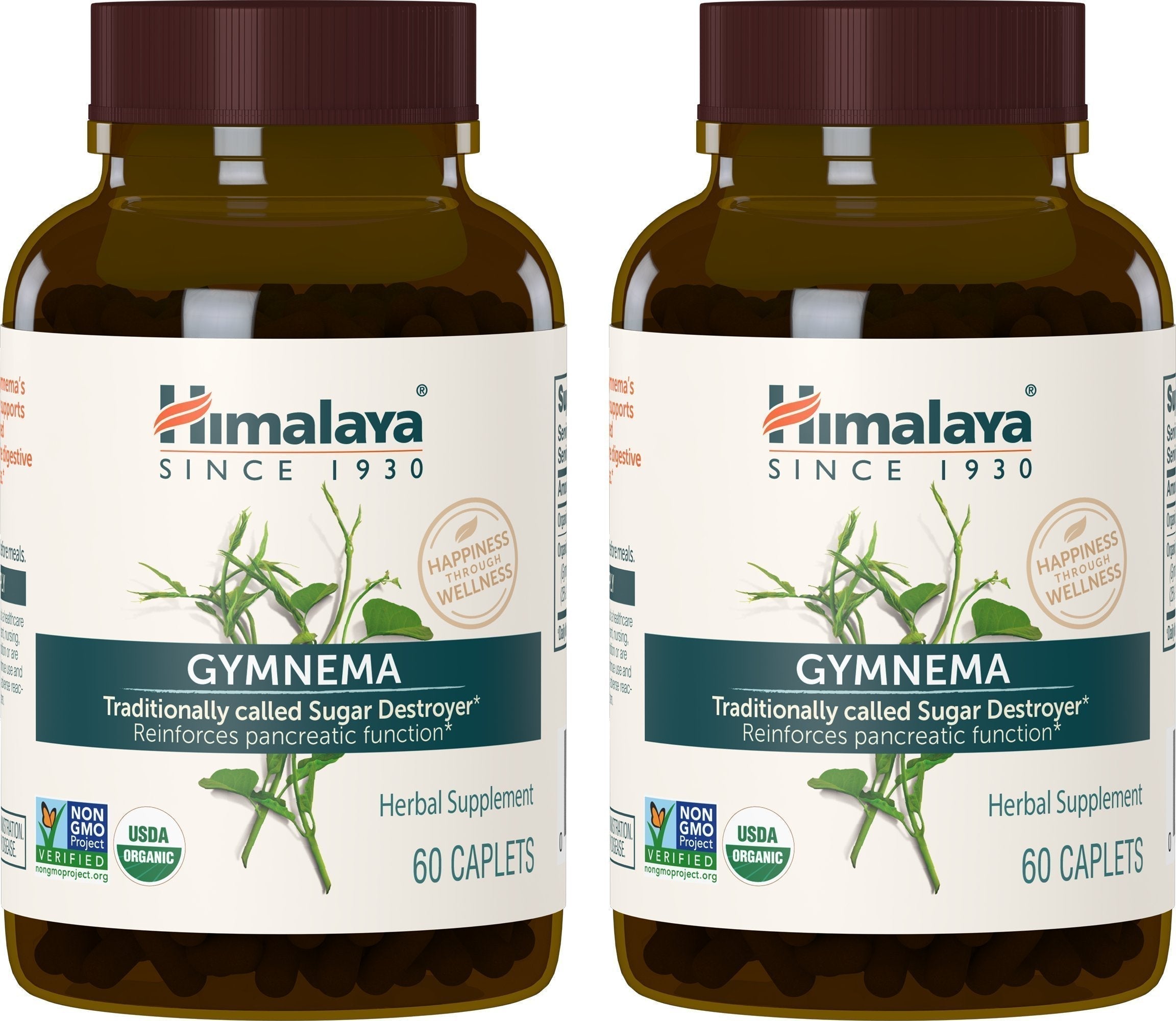 Himalaya Organic Gymnema Sylvestre for Glucose Metabolism, 700 mg Himalaya uk supplements